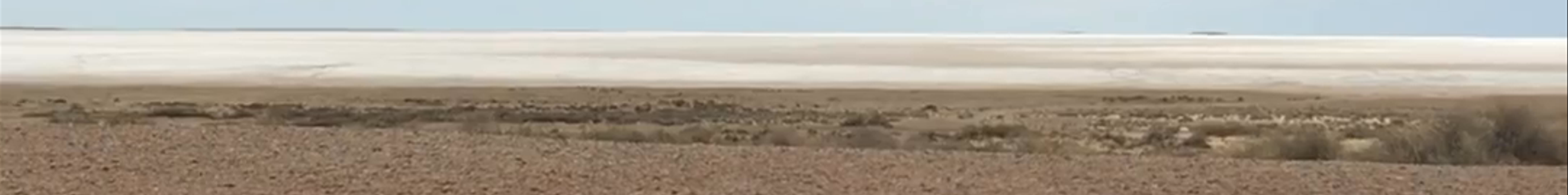 Tours & experiences in Roxby Downs