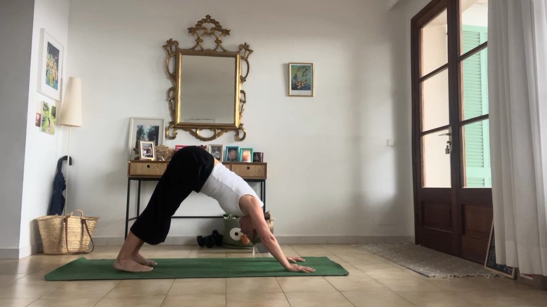 Ashtanga Flow