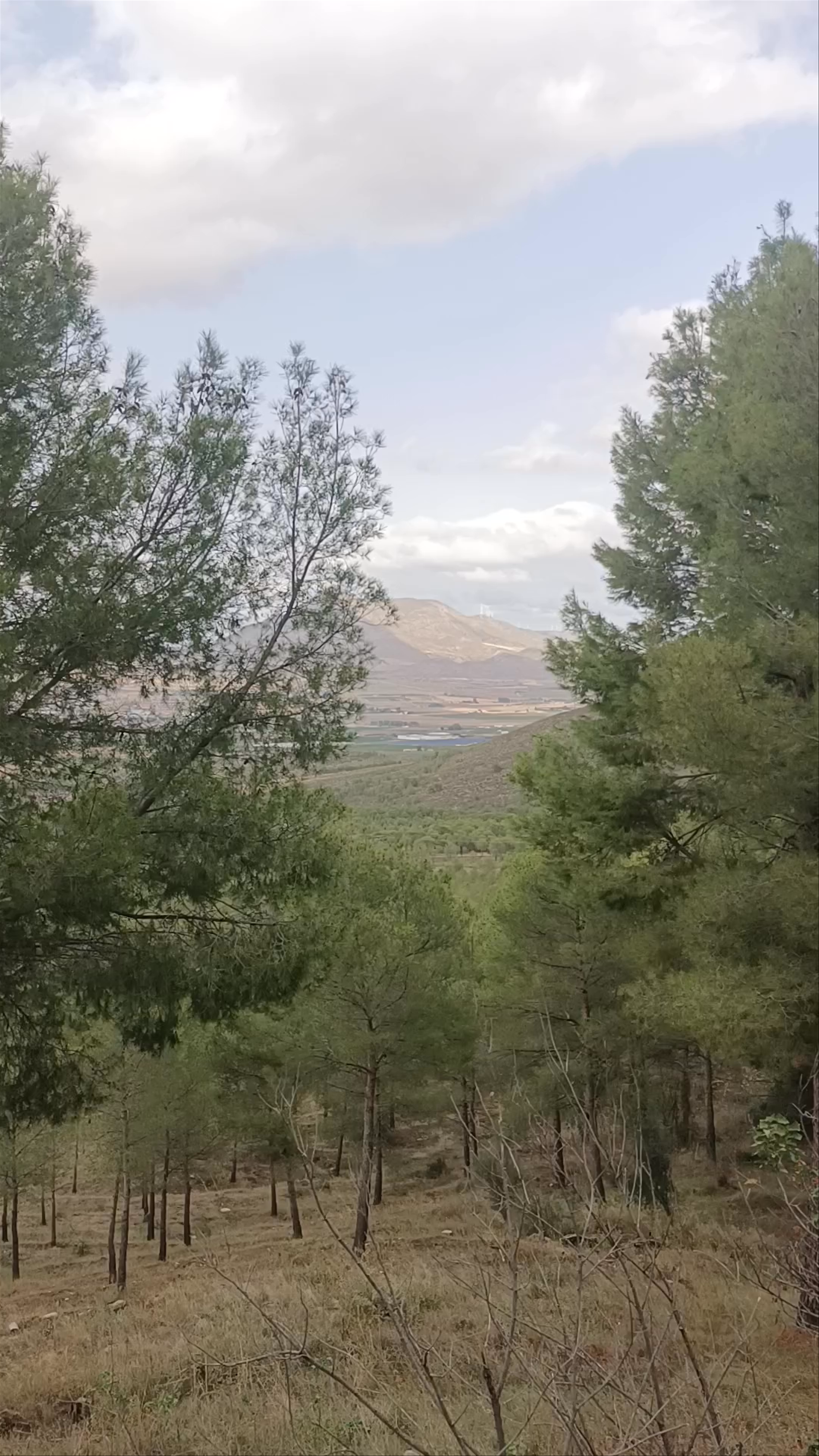 Monasterio de Santa Ana del Monte