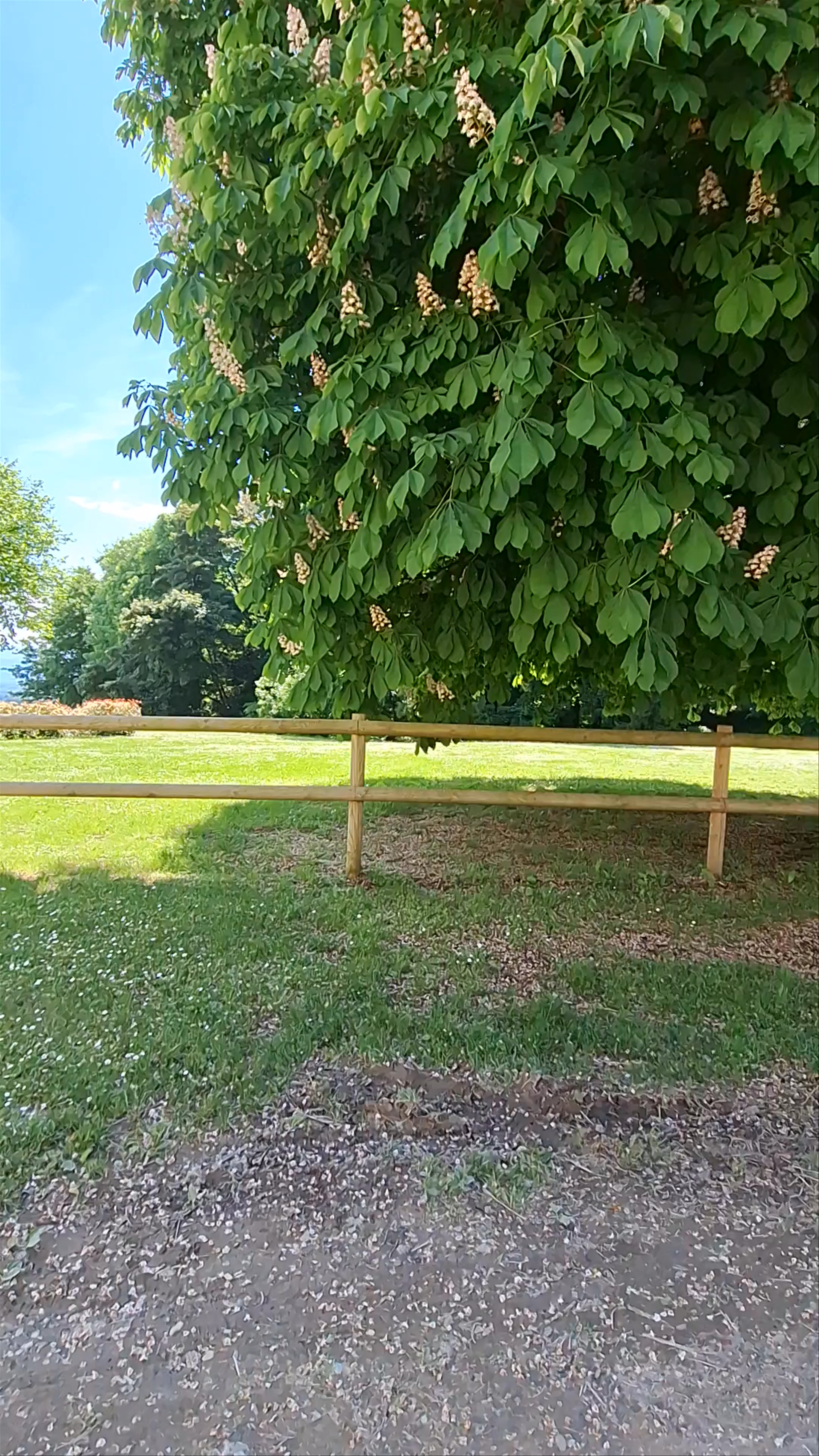 Château de Montolivet