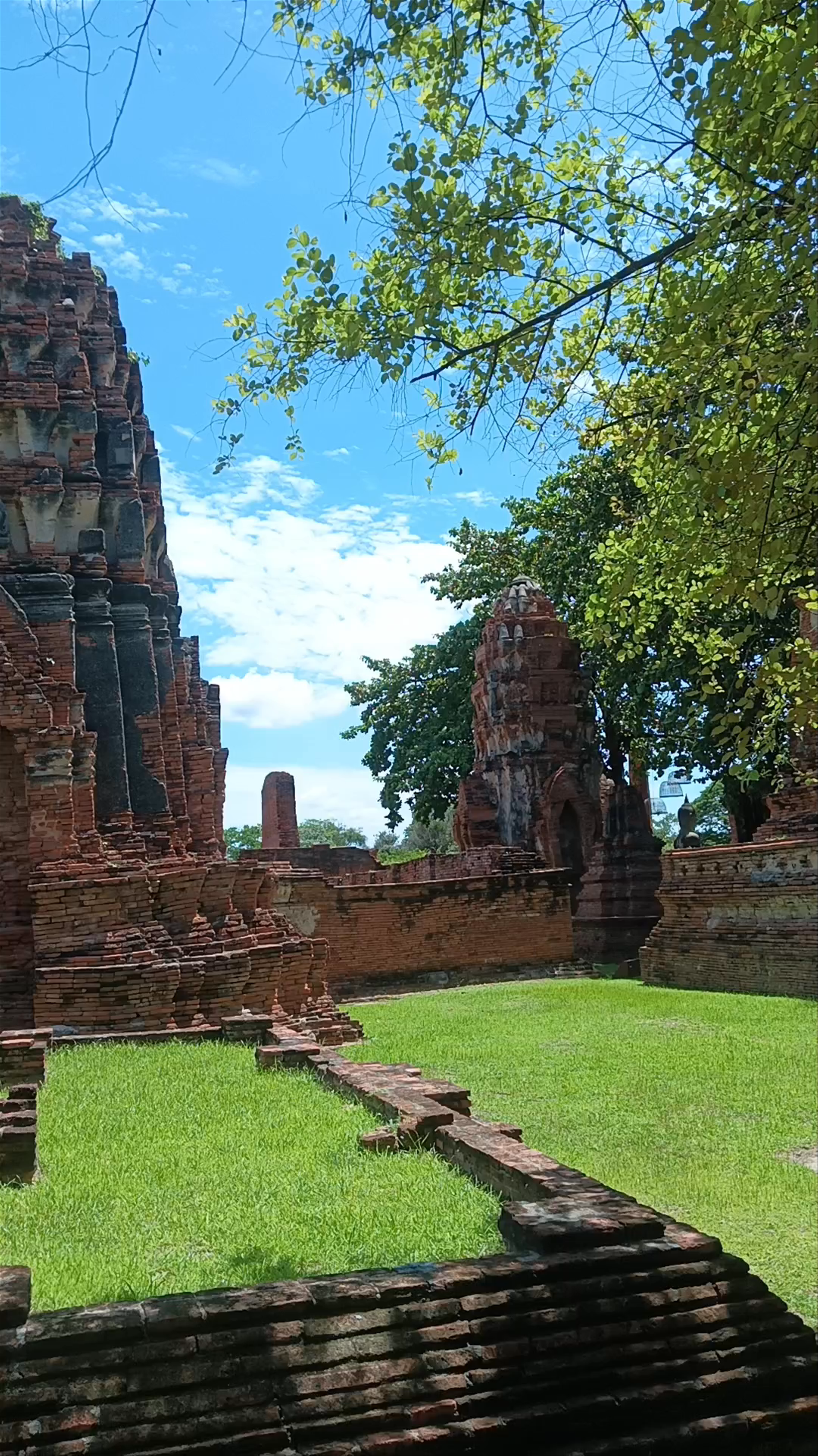 Ancient Wat Maha That Ruins at Dawn in Ayutthaya, Thailand