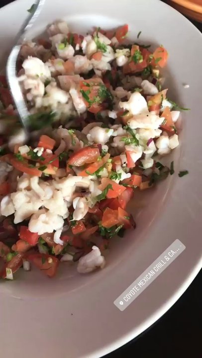 Coyote's Mexican Grill - Ceviche - Mexican Near Me - Chagrin Falls, Ohio