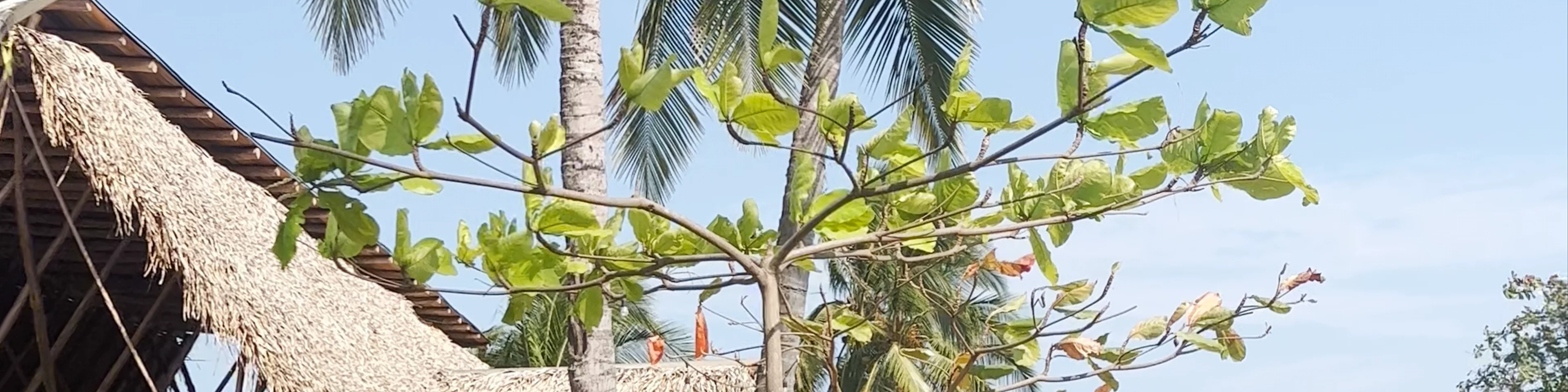 El Sitio Hotel