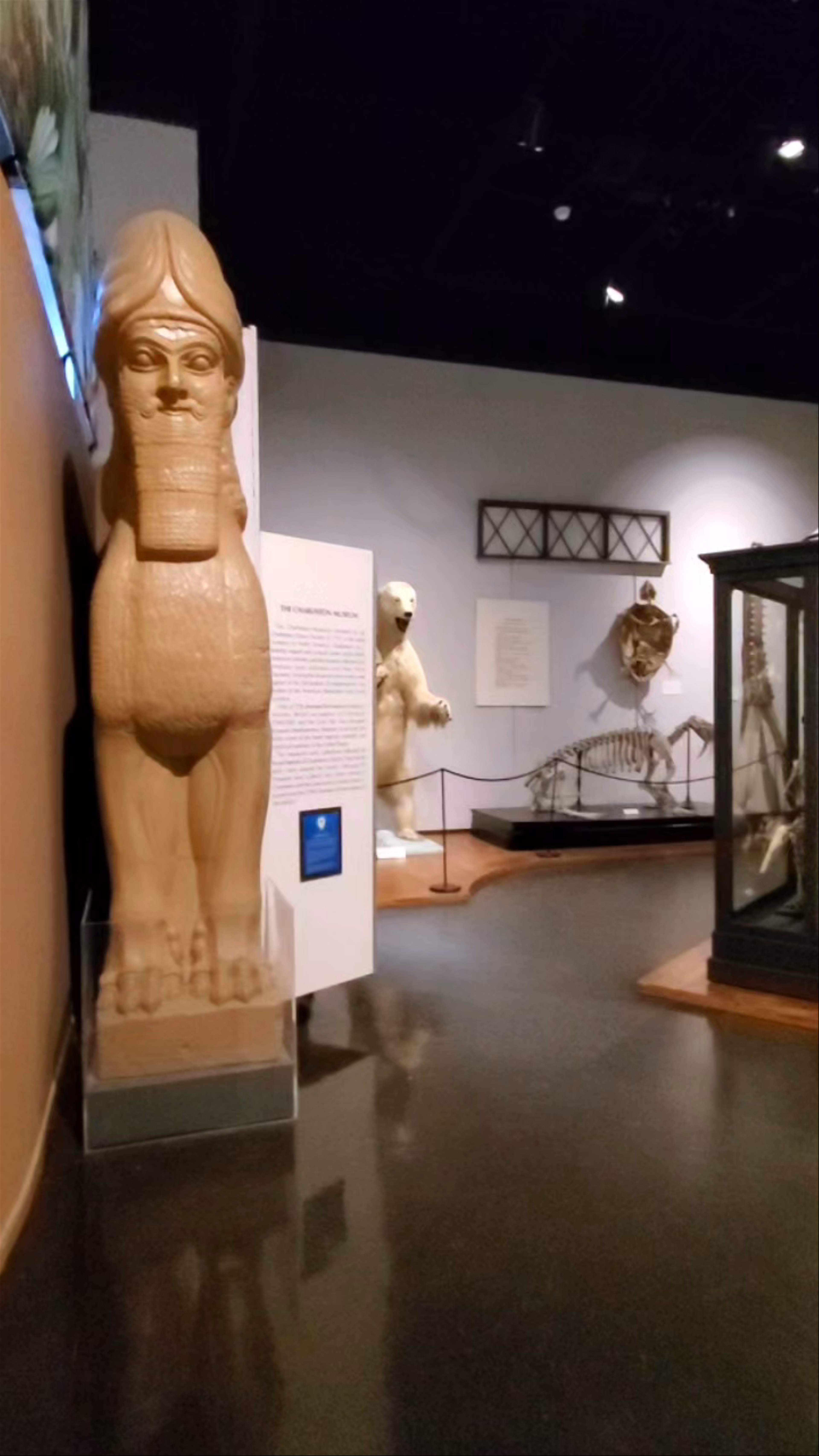 The Charleston Museum