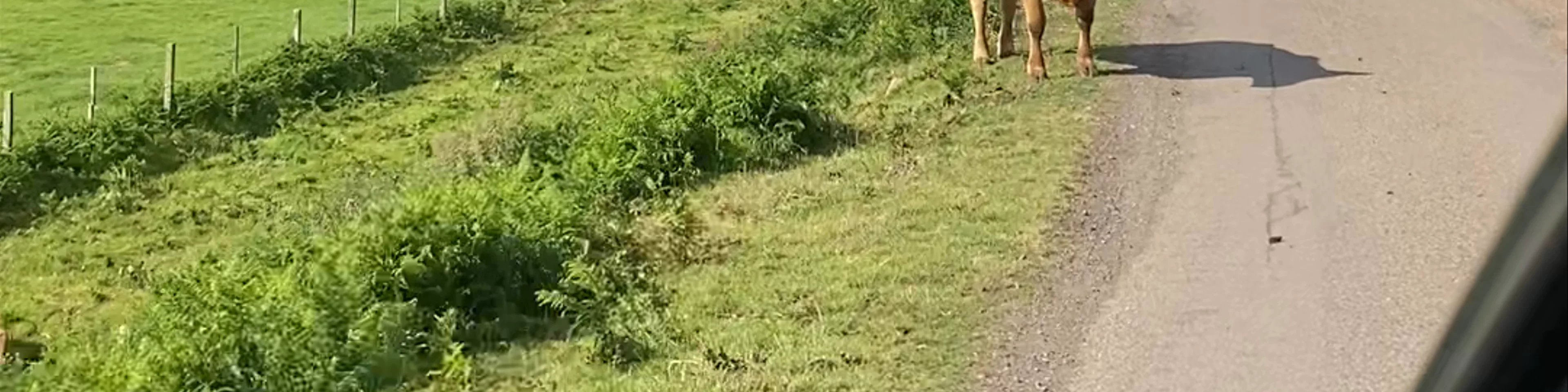 Northumberland traffic 