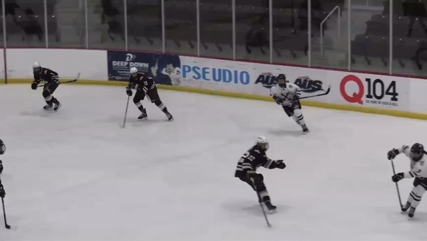 Vivian Hinch's Powerful Slap Shot | Hammarby IF Highlights