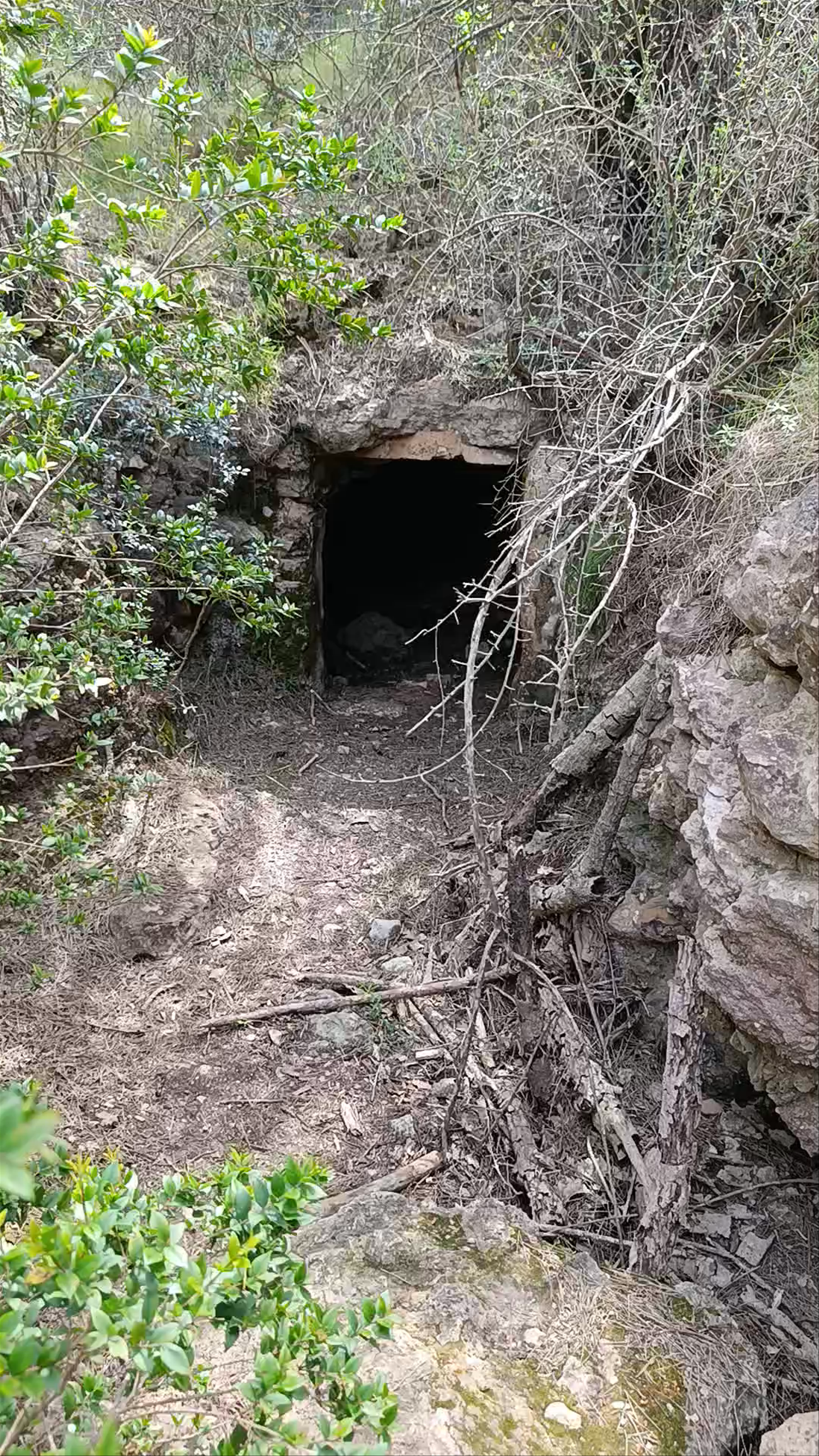 Calzada Romana Monte Cenizas