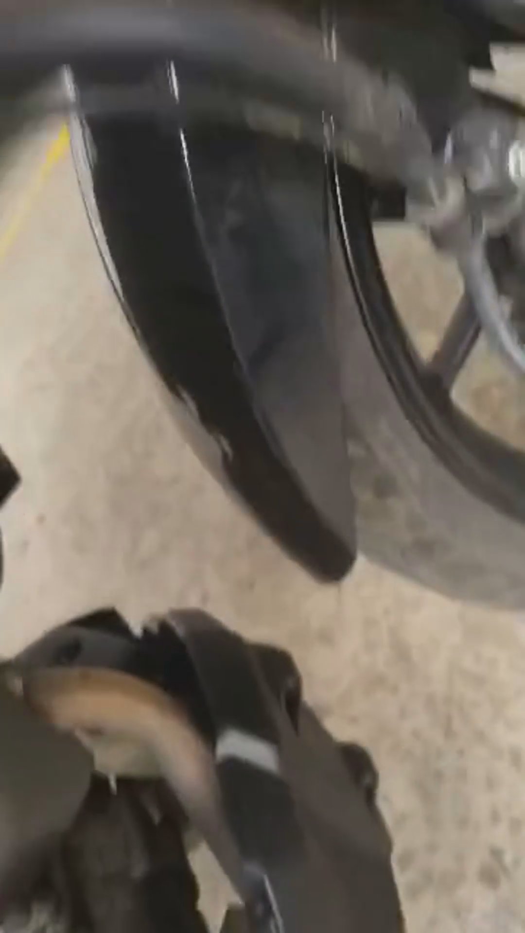 Walk-around video thumbnail