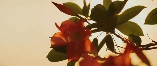 Portfolio clip by Mitchell B., Melbourne videographer