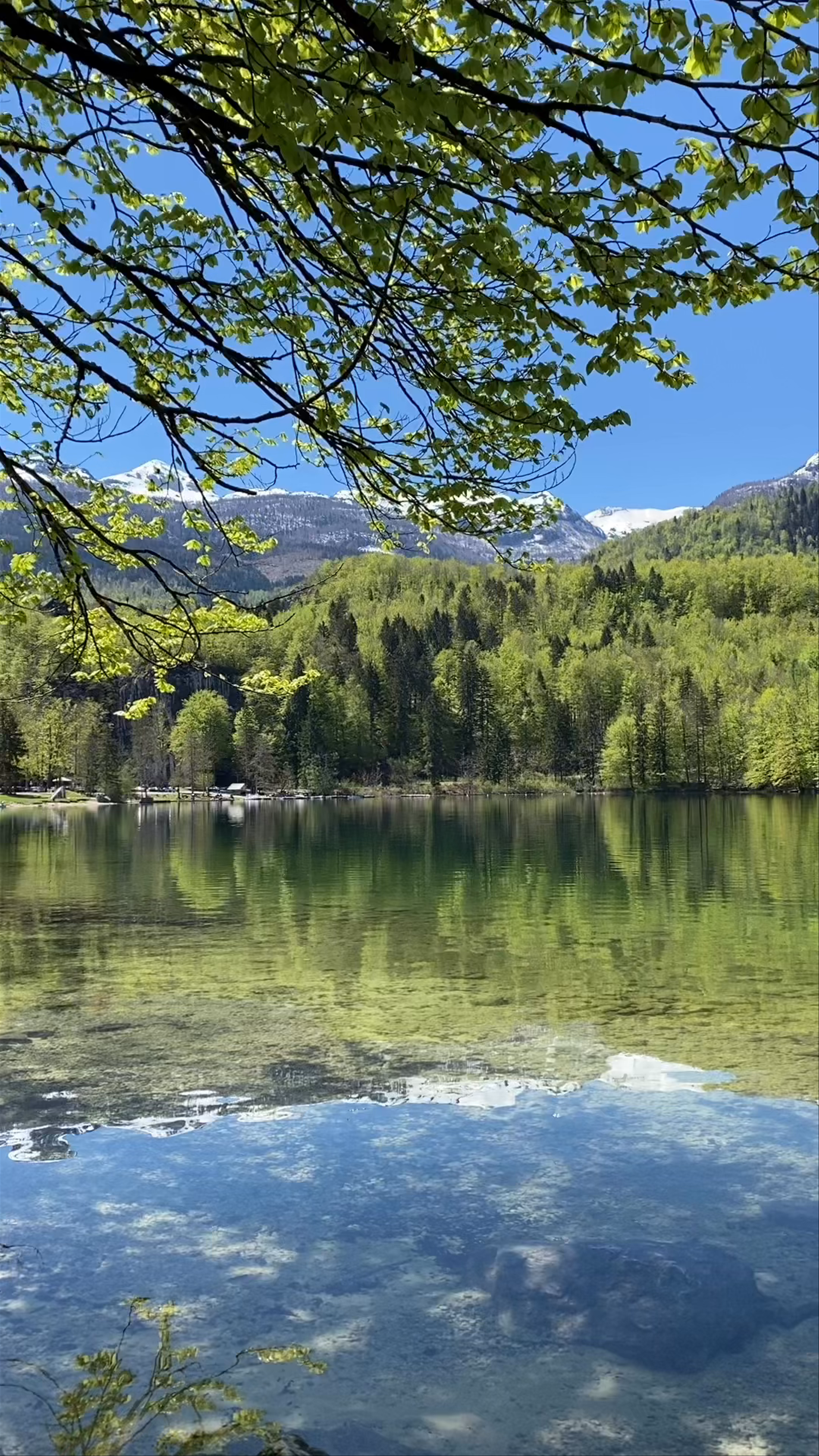 Lake Bohinj