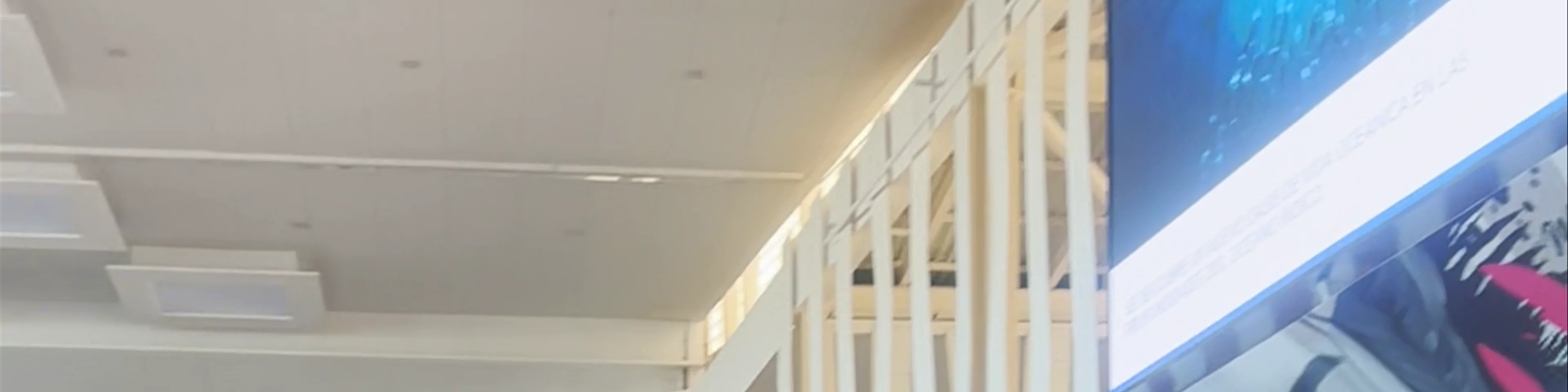 Centro Comercial Nueva Condomina