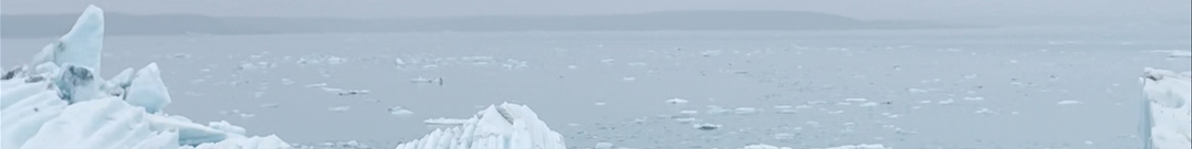 Tours & experiences in Iceland
