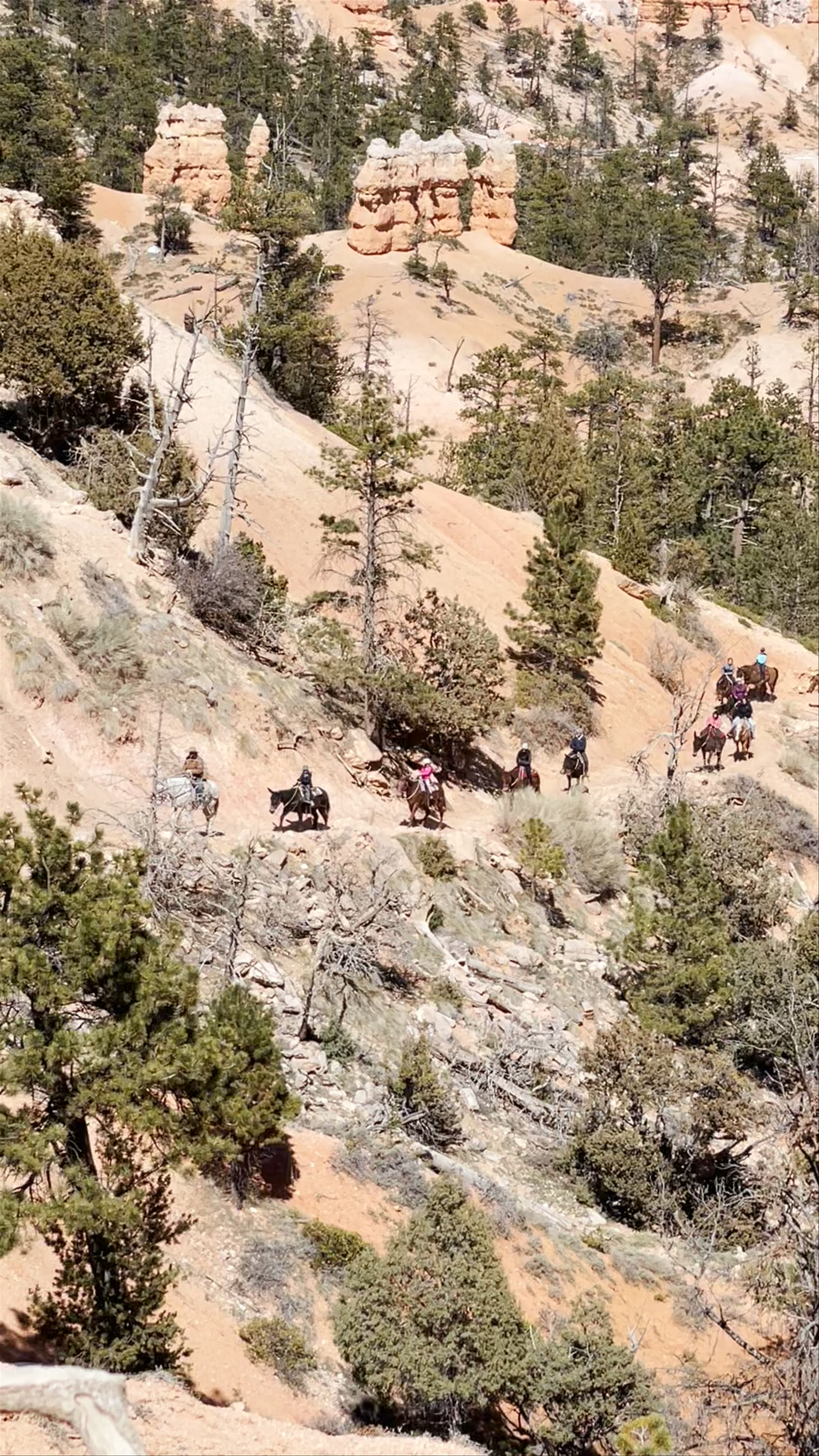 Bryce Canyon National Park Sunrise Point