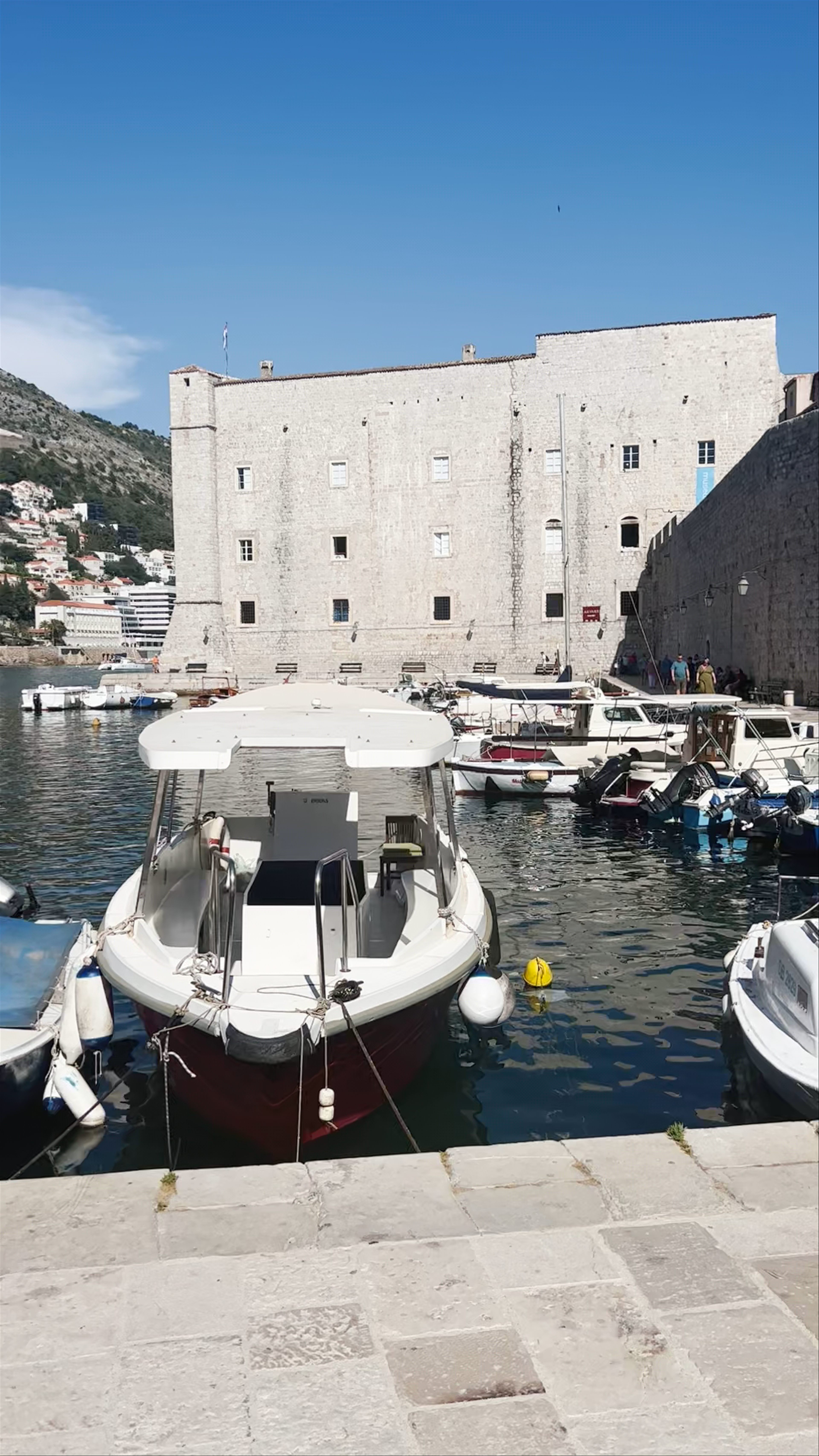 Harbour Viewpoint