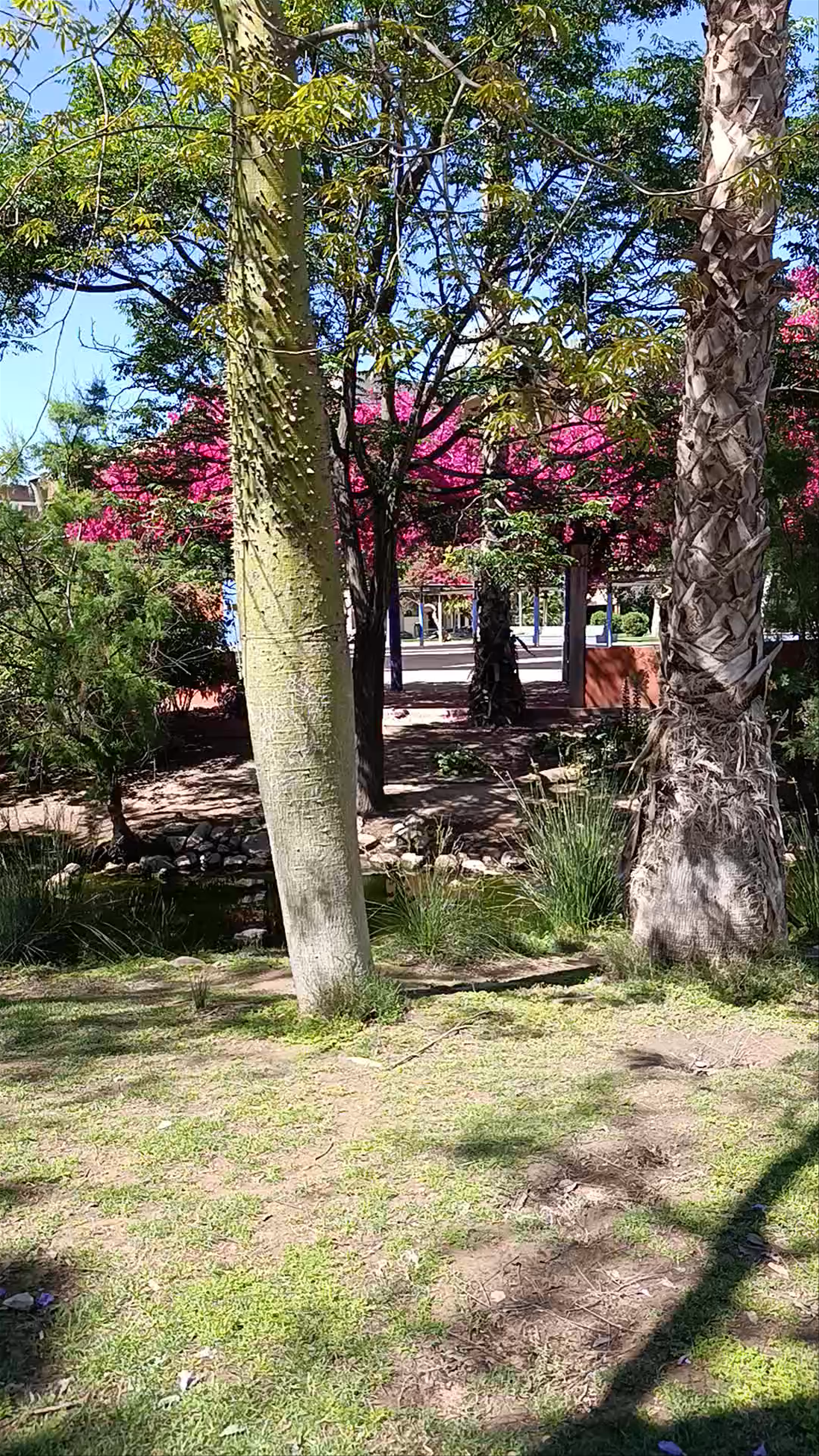 Jardin de la Seda