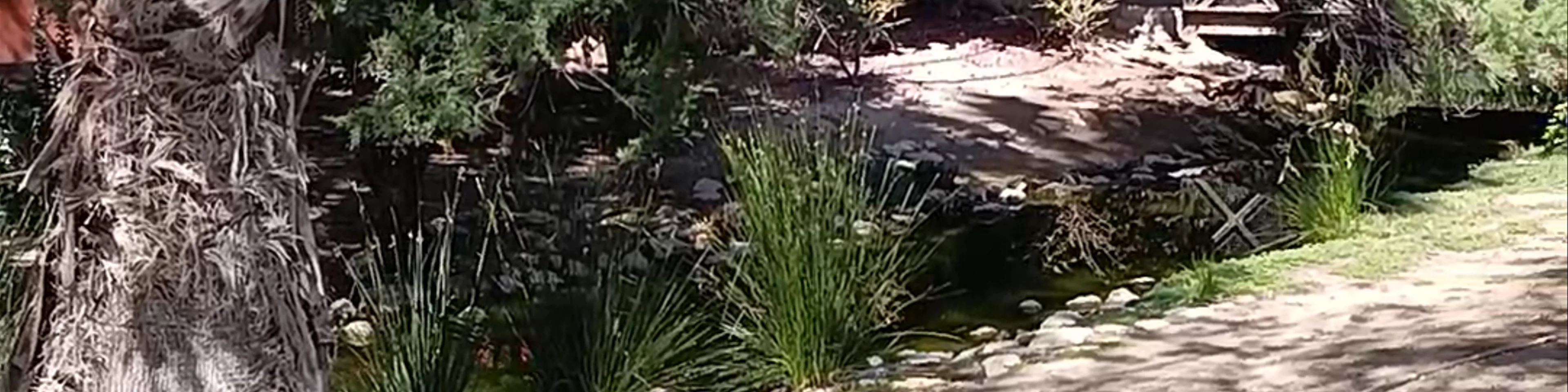 Jardin de la Seda