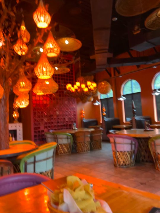 Iguana Grill - Inside is super cool - Mexican Near Me - Hoover, Alabama