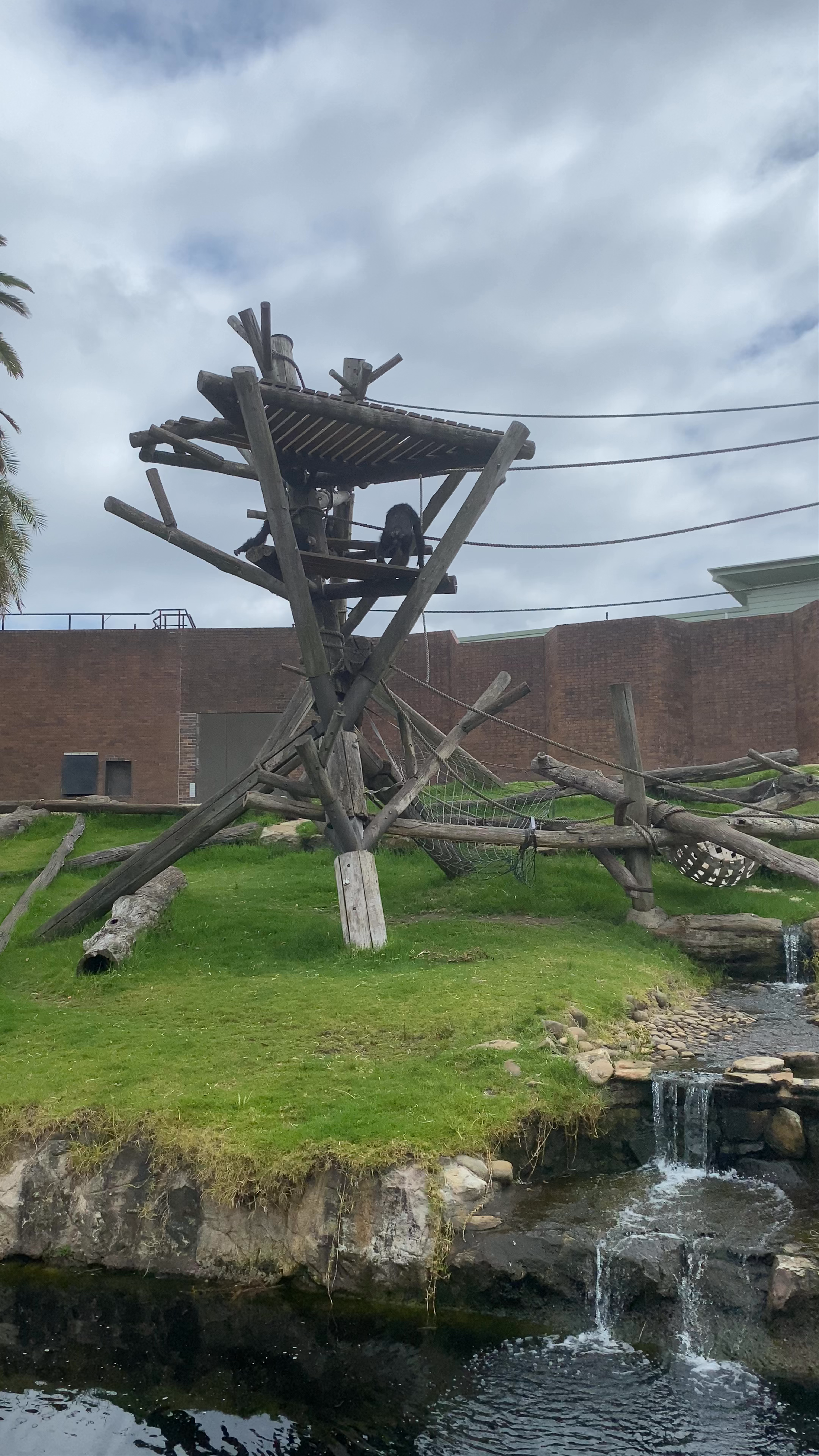 Taronga Zoo Sydney