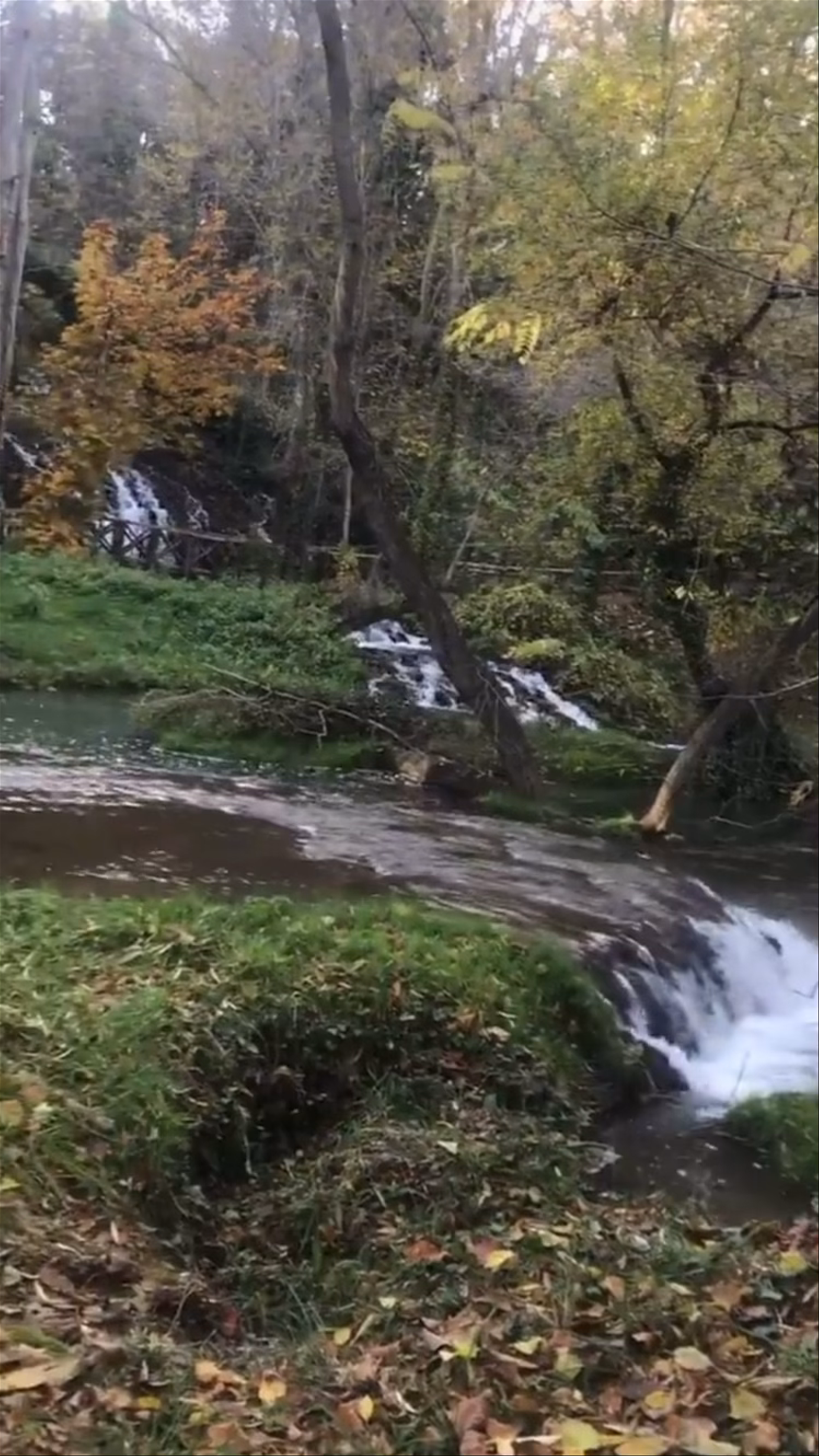 Monasterio de Piedra