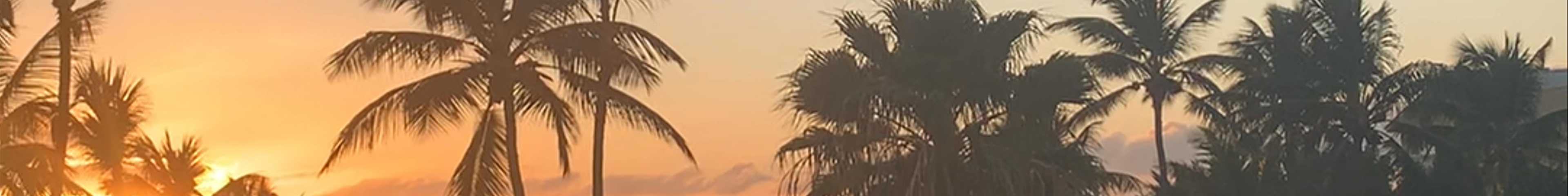 Tours & experiences in Aruba
