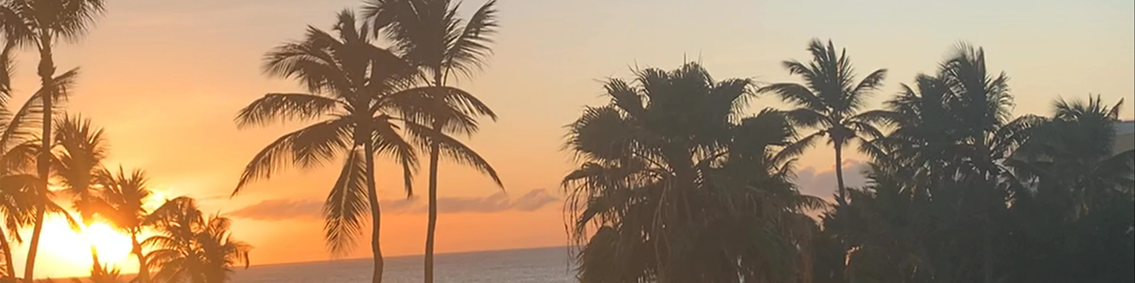 Divi Aruba All Inclusive Resort