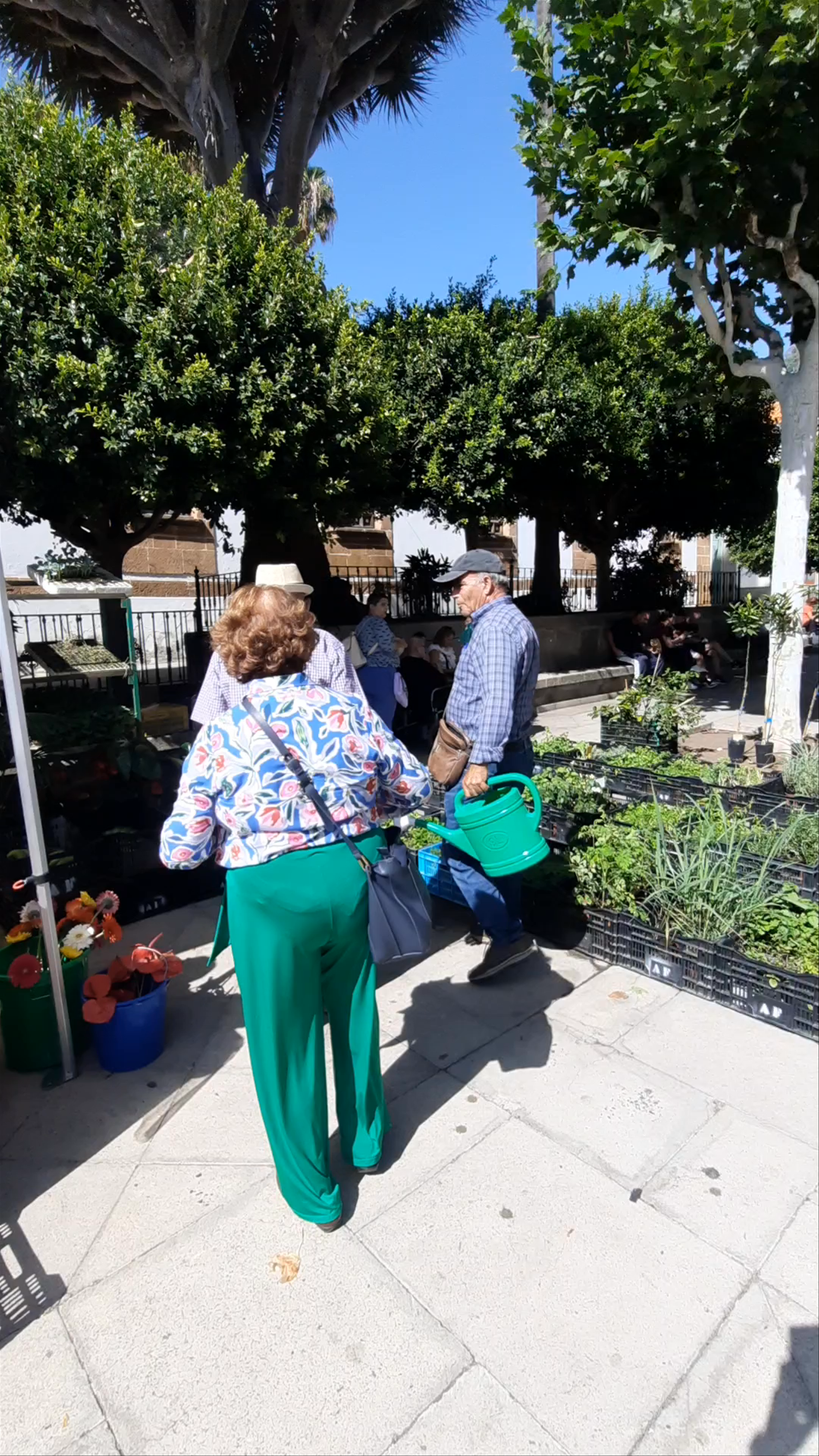 Plaza de la Alameda