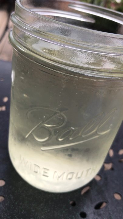 River Cafe - Some kind of ginger kombucha from their tap - Coffee & Tea Near Me - Santa Cruz, California
