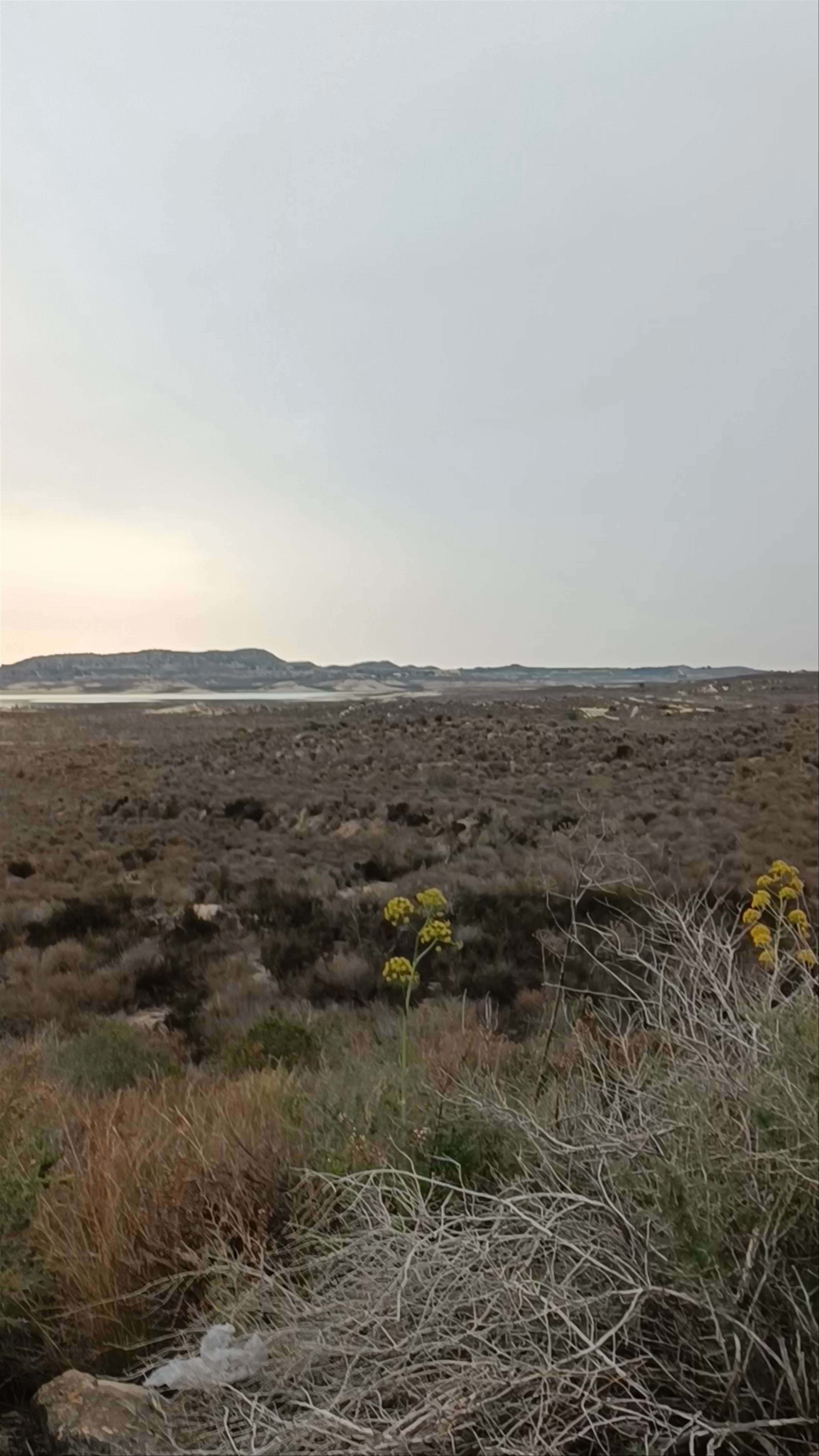 Embalse de la Pedrera: Serene Nature Escape in Orihuela, Spain