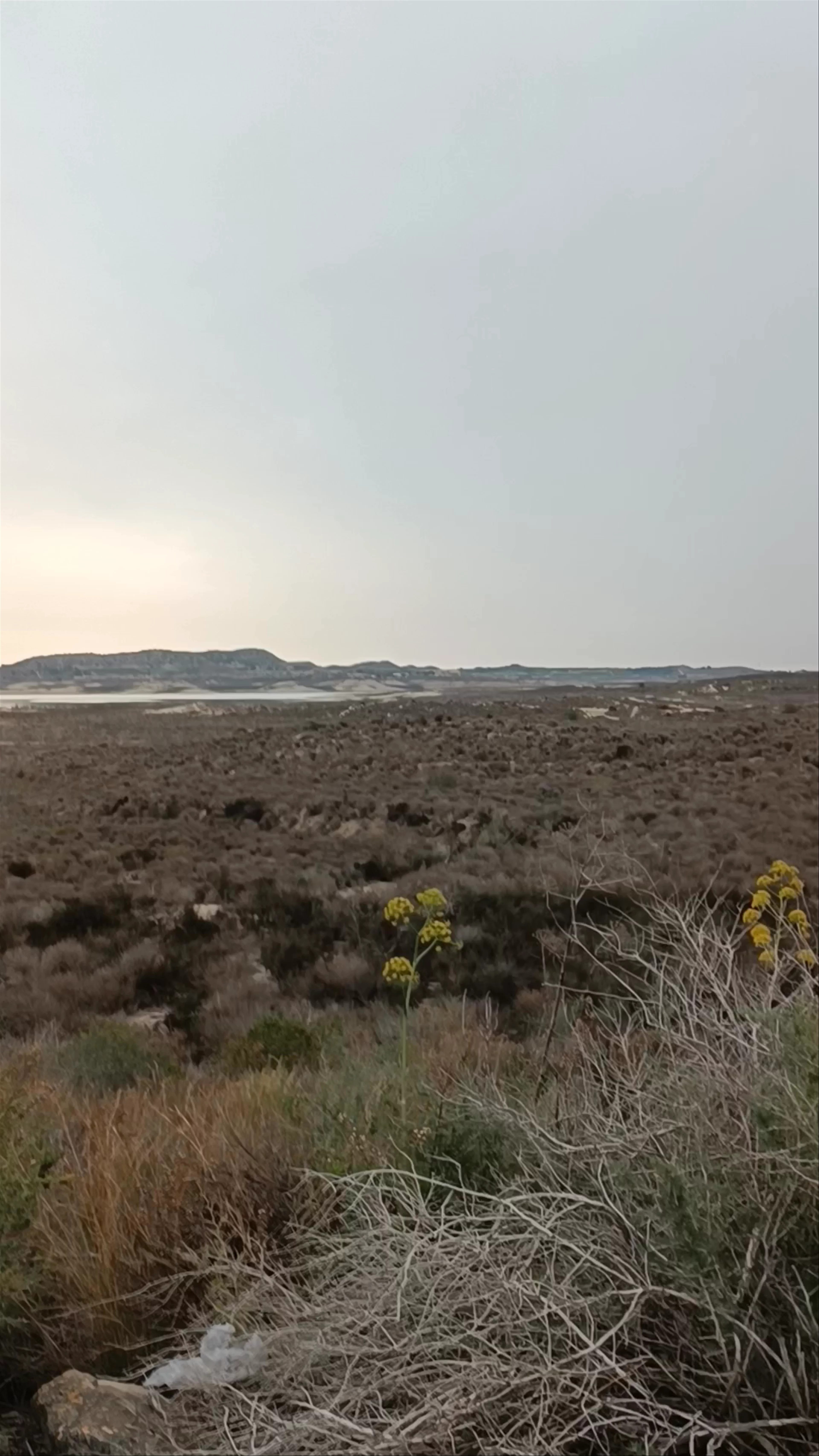 Embalse de la Pedrera