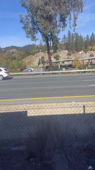 BART - Lafayette Station - The train is arriving at  Lafayette station - Public Transportation Near Me - Lafayette, California