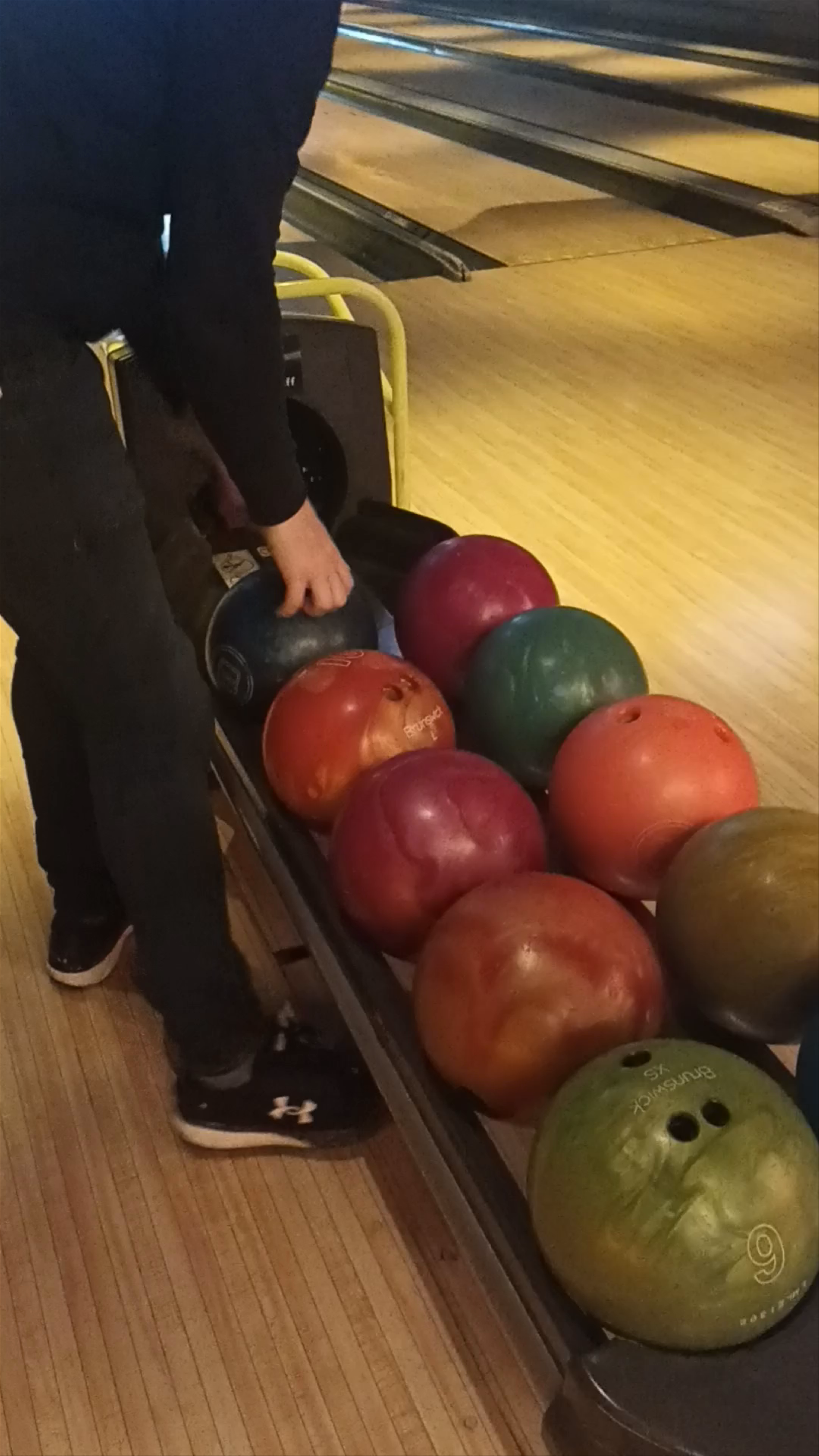 Dog Bowl