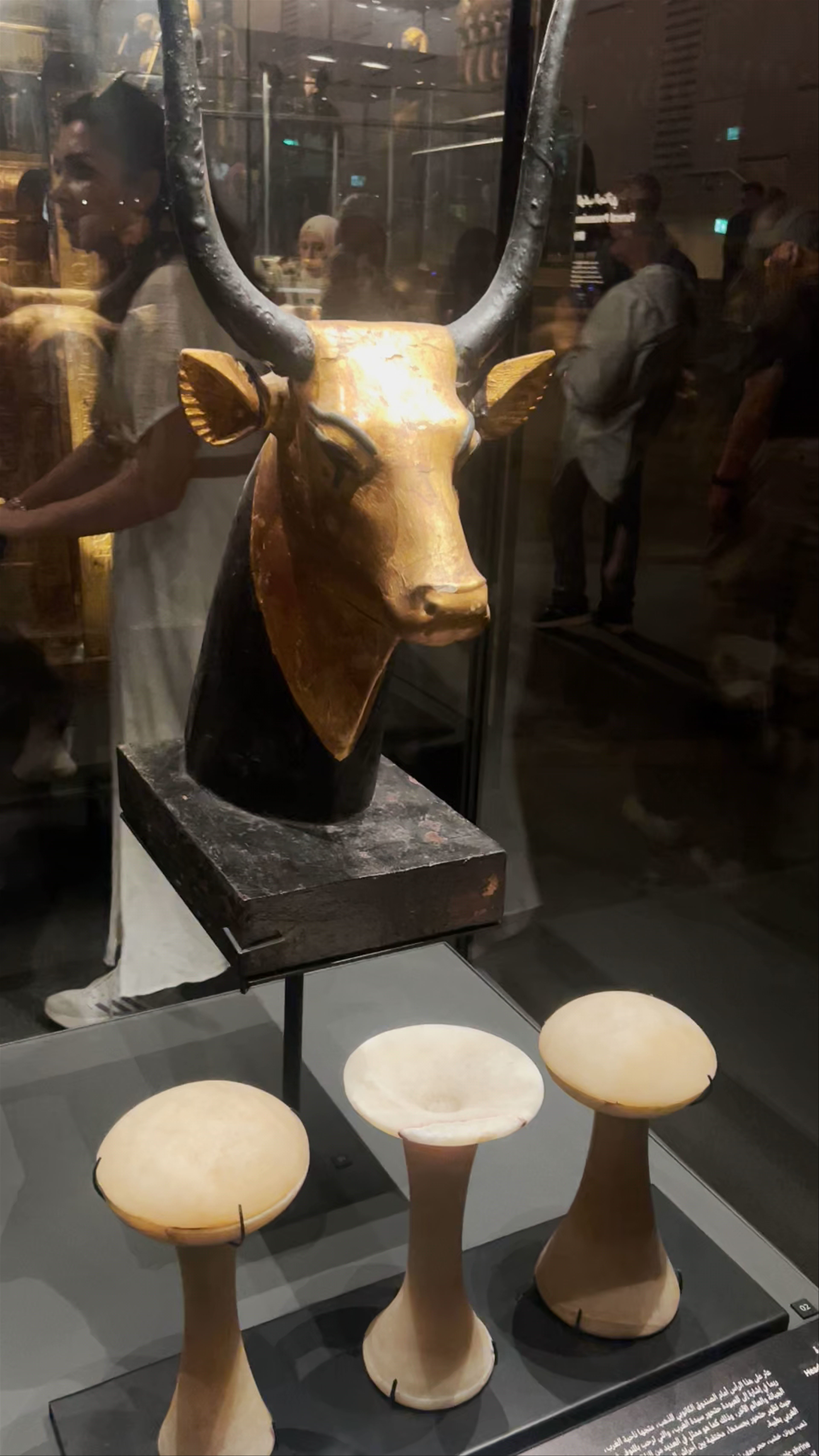 Grande Museo Egizio: Unearthing Ancient Egyptian Majesty