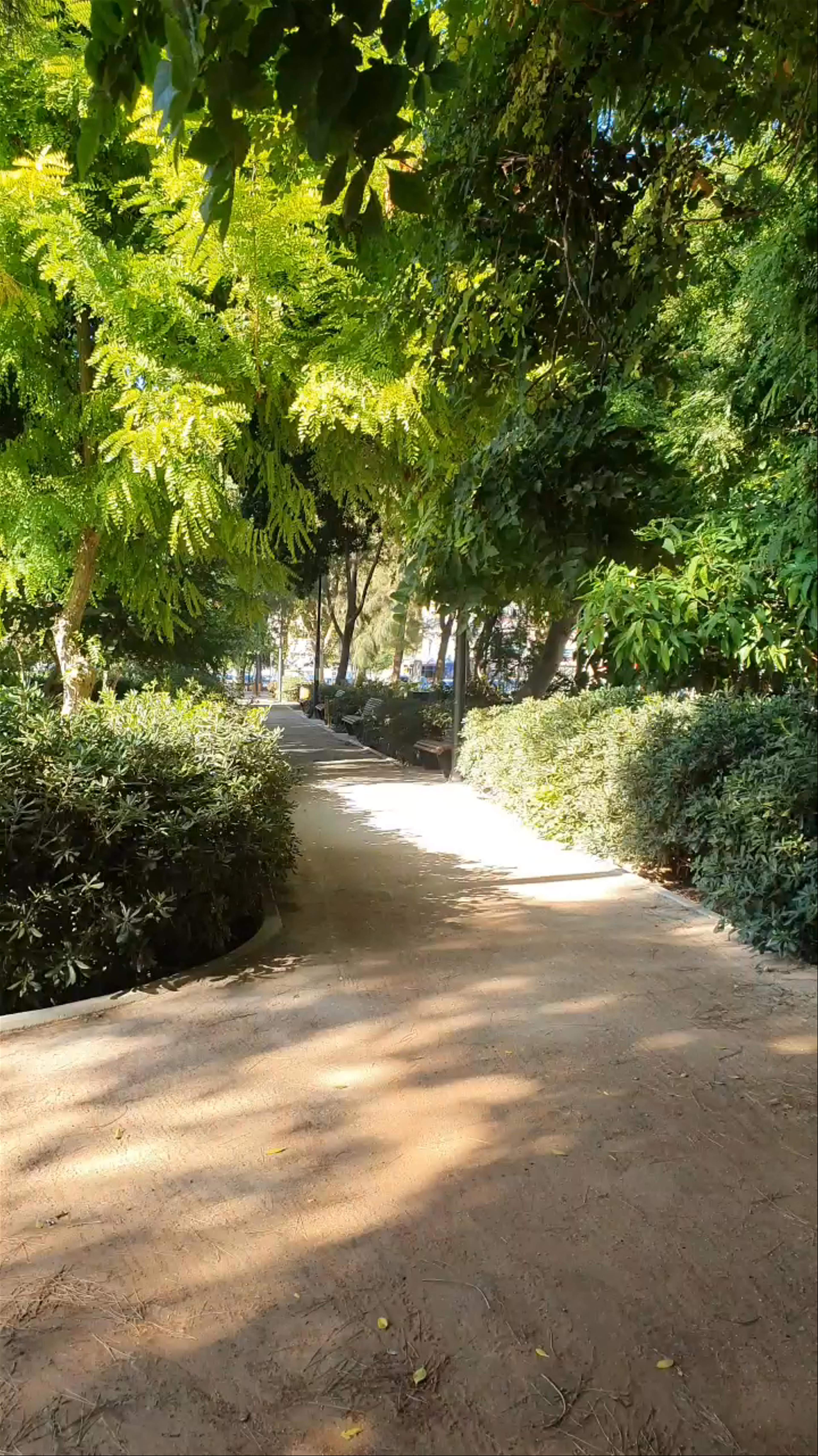 Georgiadis Park
