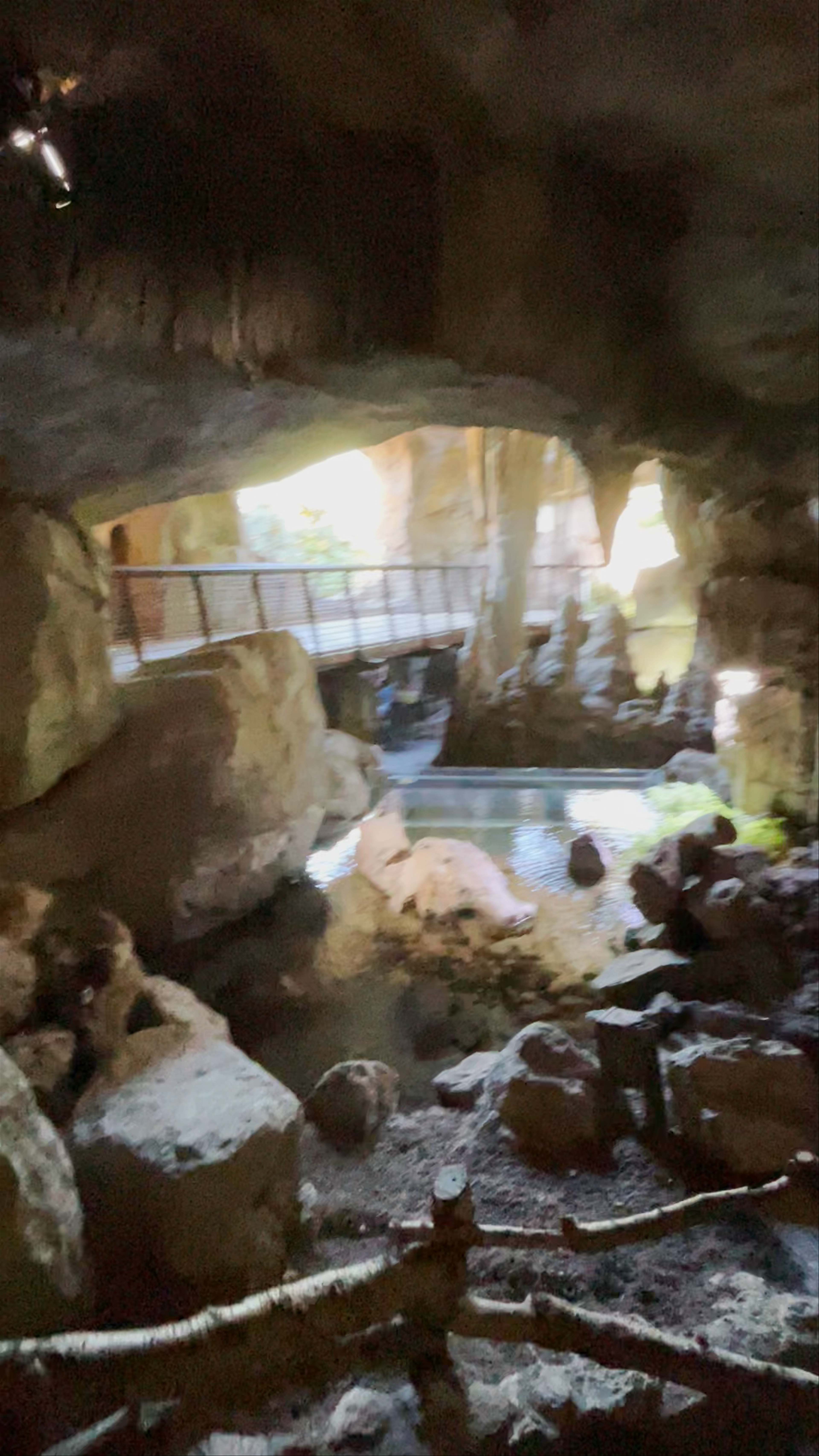 Explore the Enchanting Caves of Bioparc Valencia