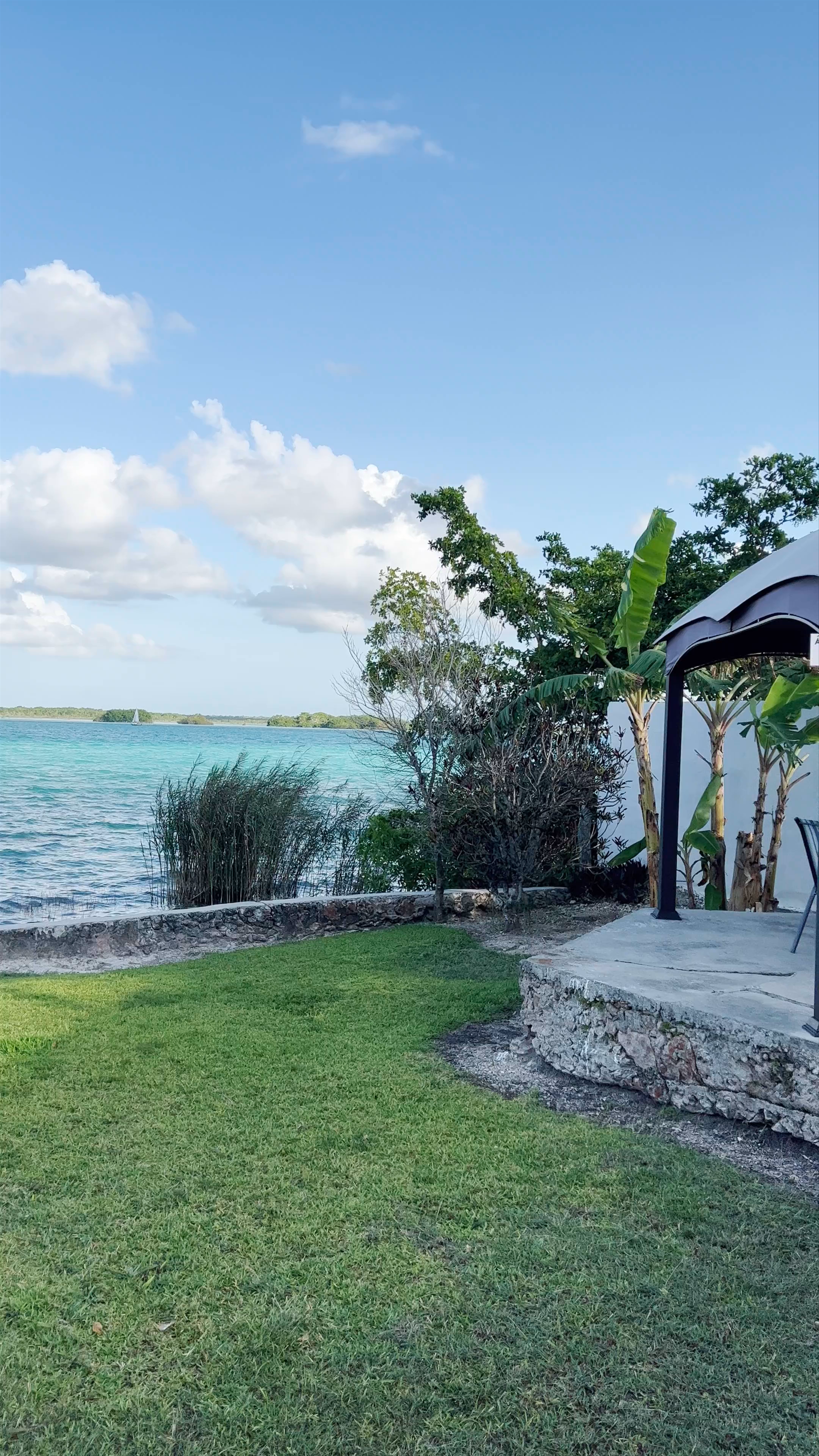 Royal Palm Bacalar