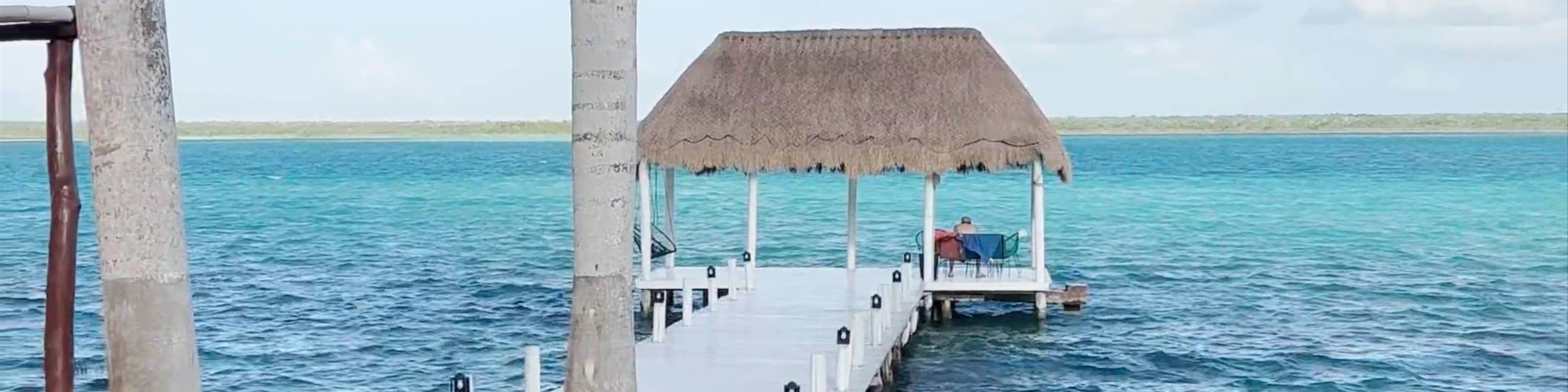 Royal Palm Bacalar