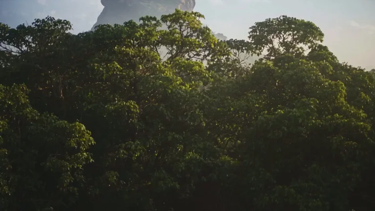 Sri Lanka 360° Winter: Sigiriya, amanecer en Adam's Peak y playas del sur