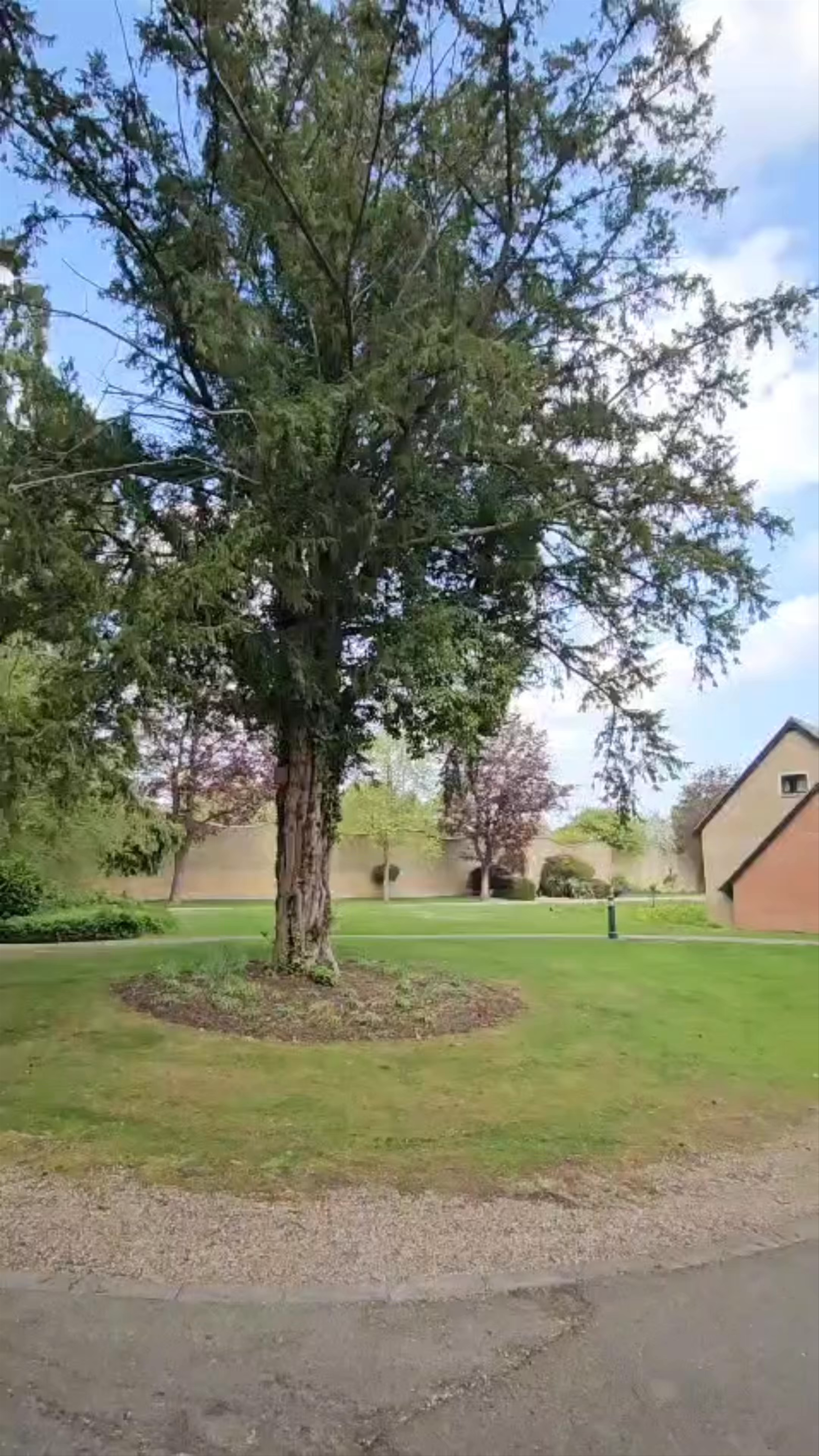 Serene Spring Stroll at Hanbury Manor Marriott Hotel & Country Club, Ware