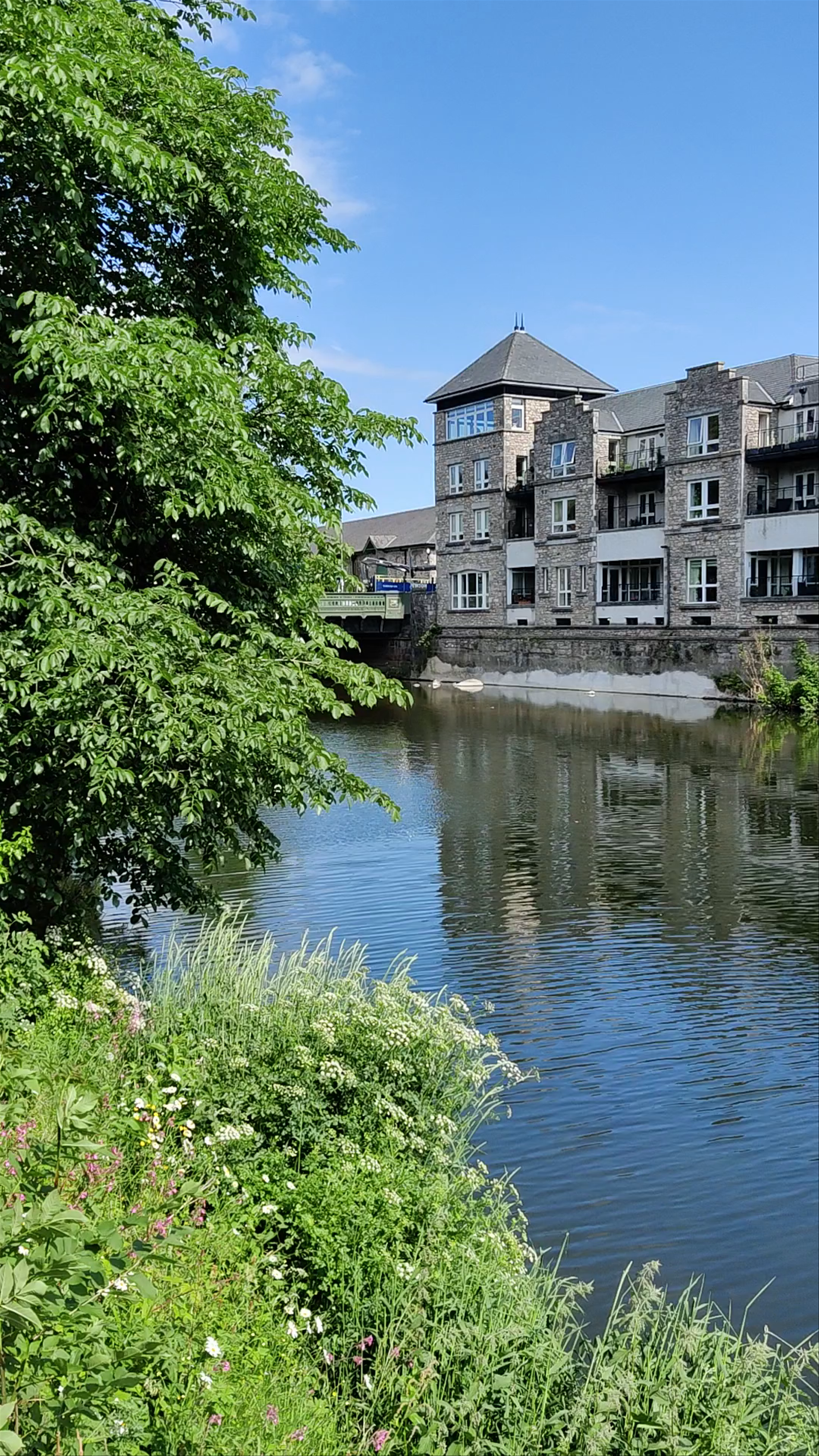Serene Riverside Views of River Kent in Kendal, UK