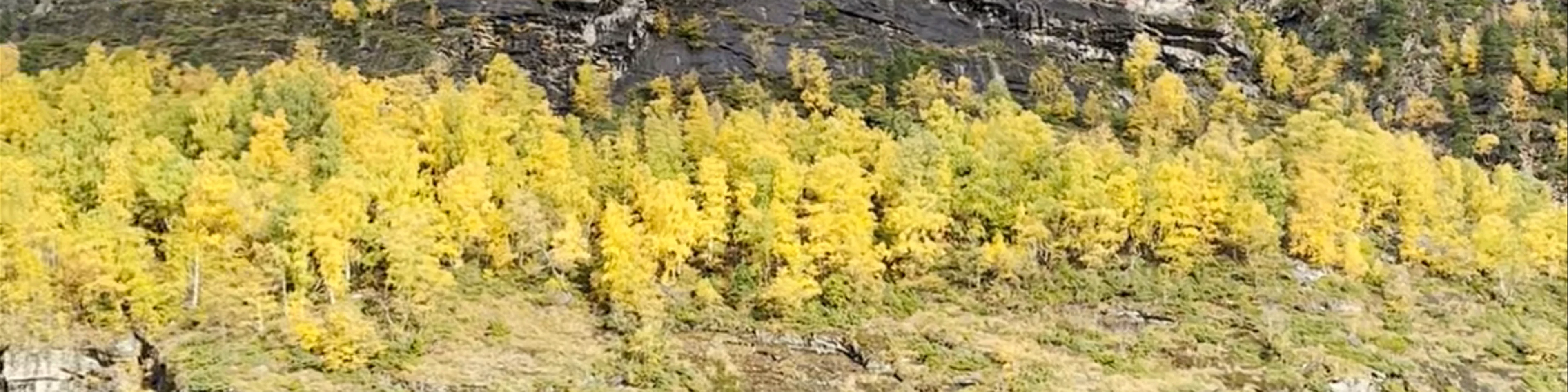 Geirangerfjord