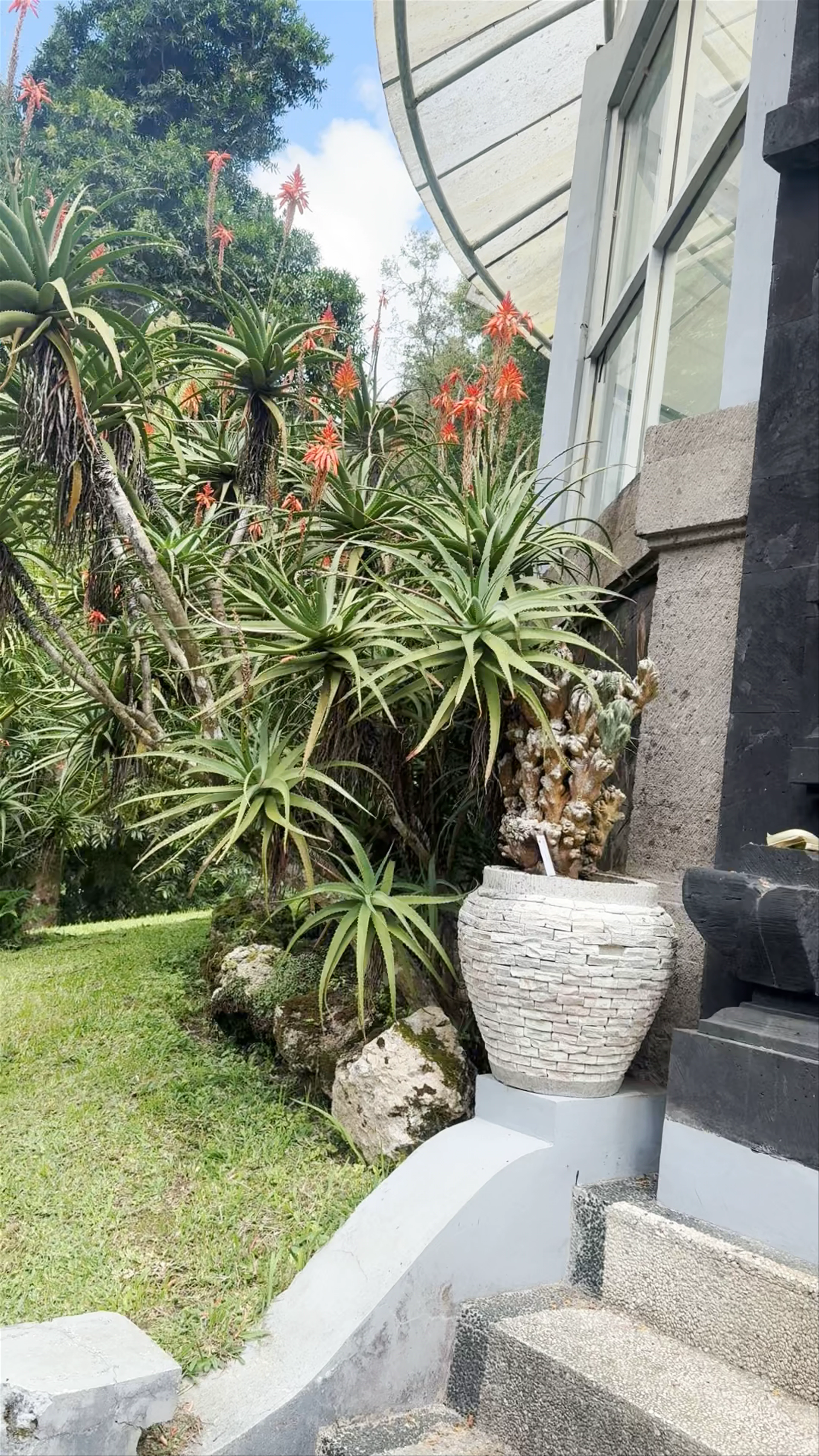 Bali Botanical Garden
