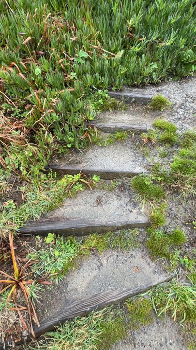 Portuguese Beach - Stairs/trail that leads you down to the beach - Beaches Near Me - Bodega Bay, California