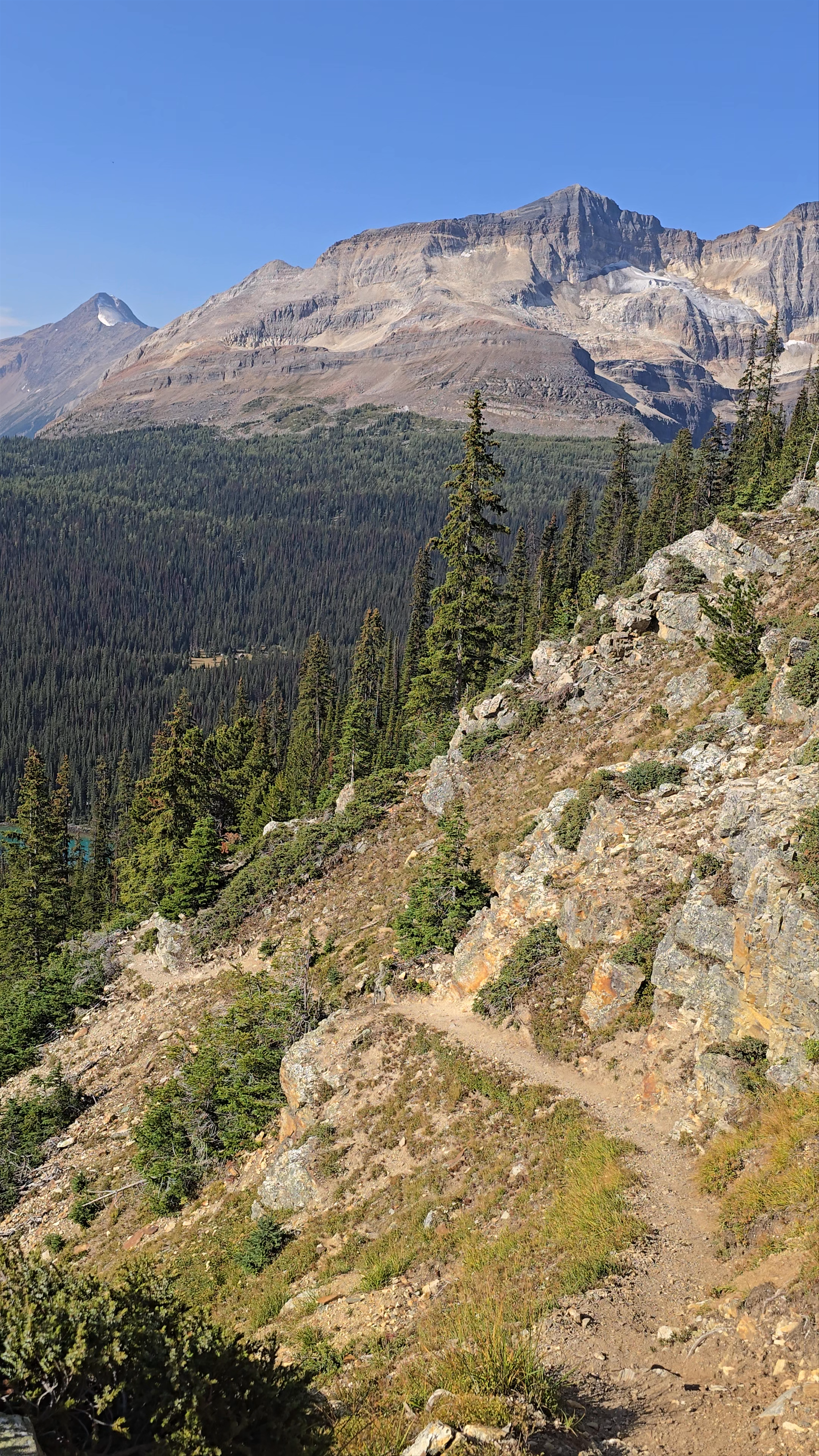 Lake O'Hara Parking