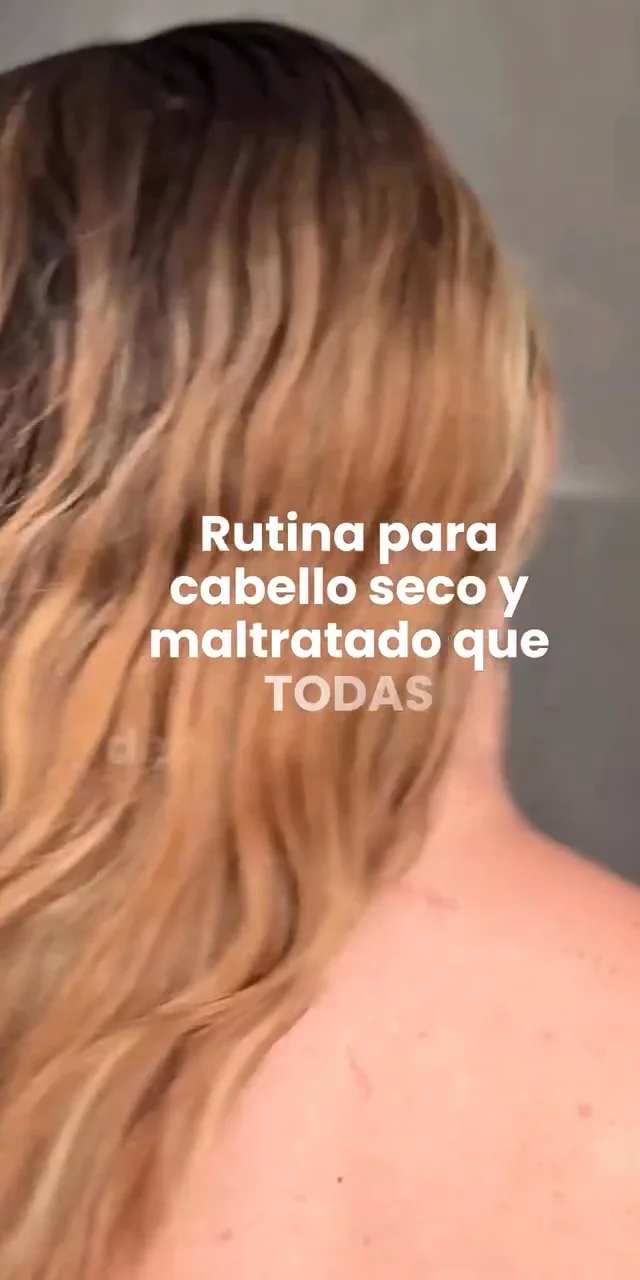 Contenido del creador