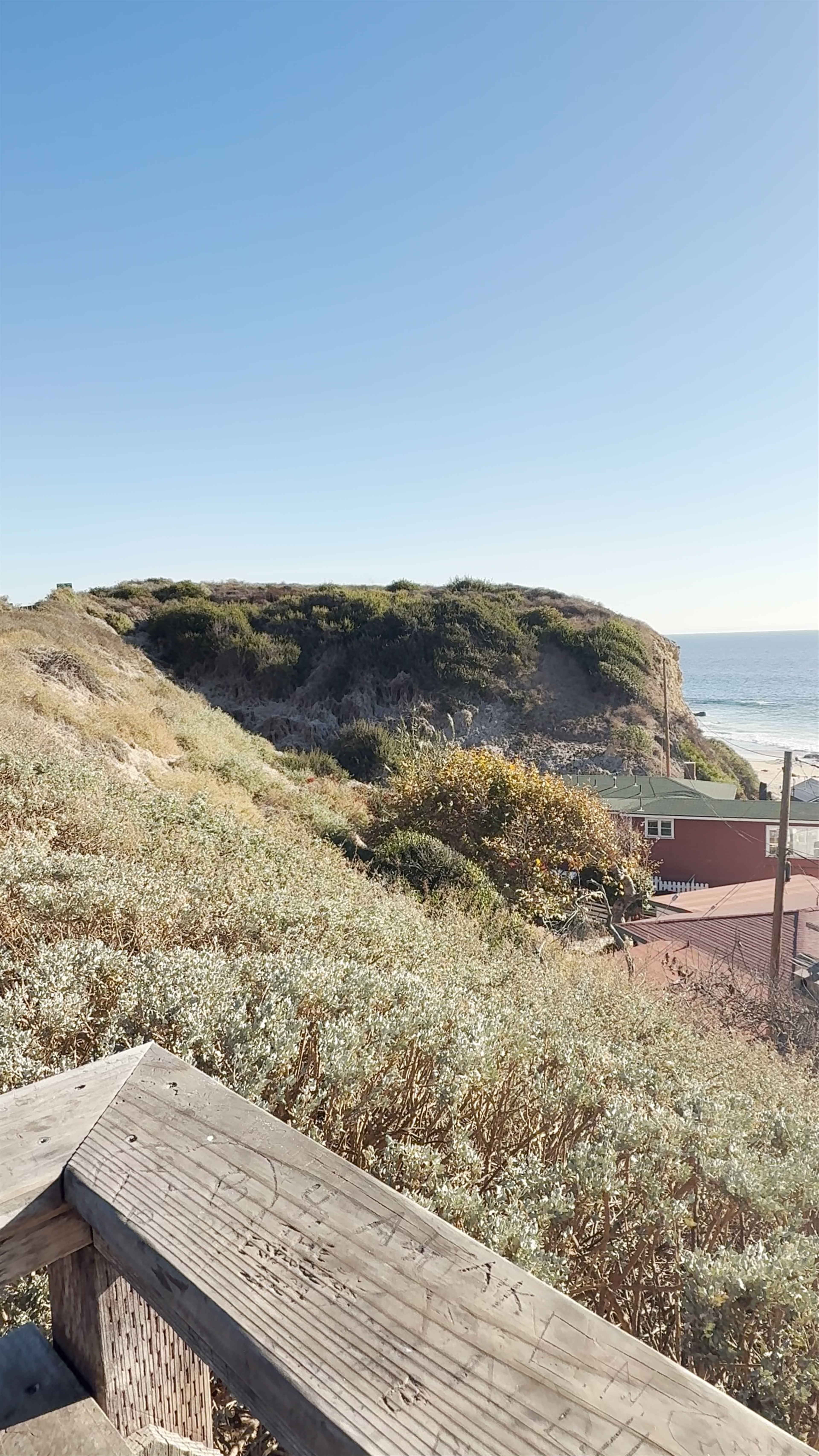 Crystal Cove Shake Shack