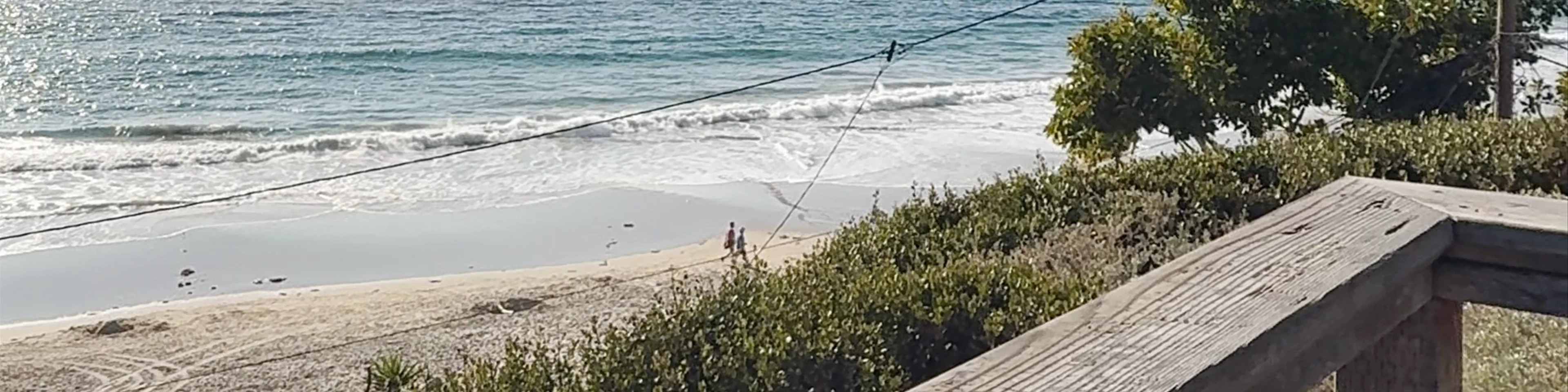 Crystal Cove Shake Shack