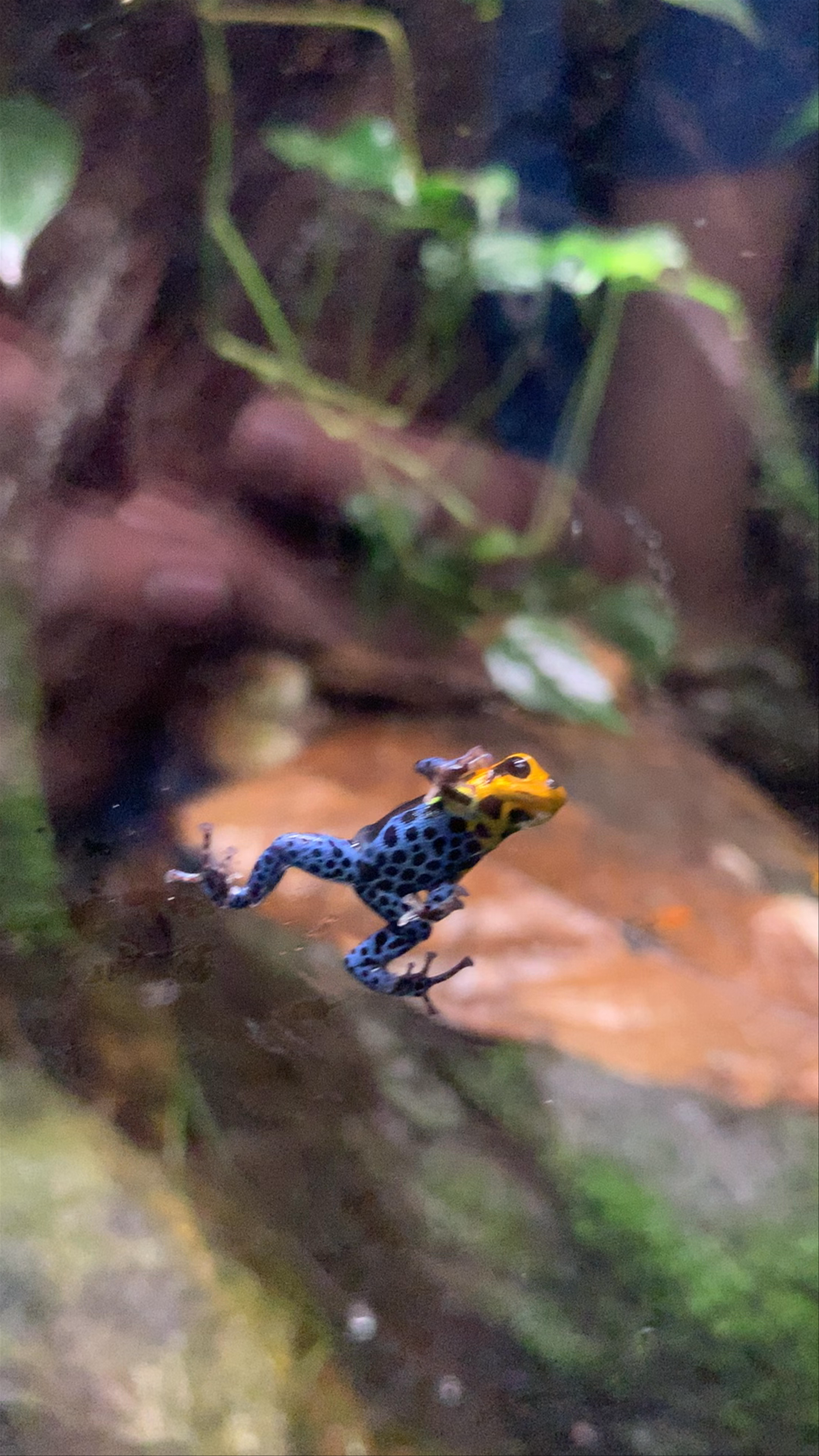 Vancouver Aquarium