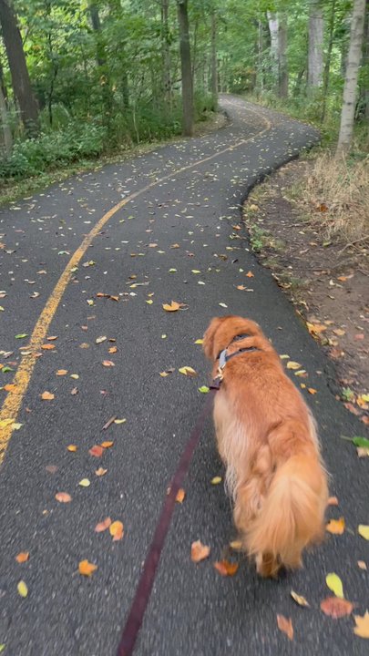 Potter's Bridge Park - Let's go! - Parks Near Me - Noblesville, Indiana