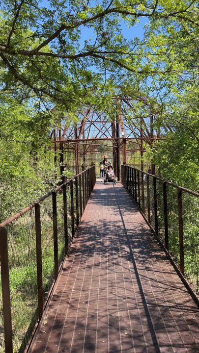 Pease Park - Park - Parks Near Me - Austin, Texas