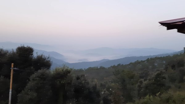 Photo of Binsar, Uttarakhand 